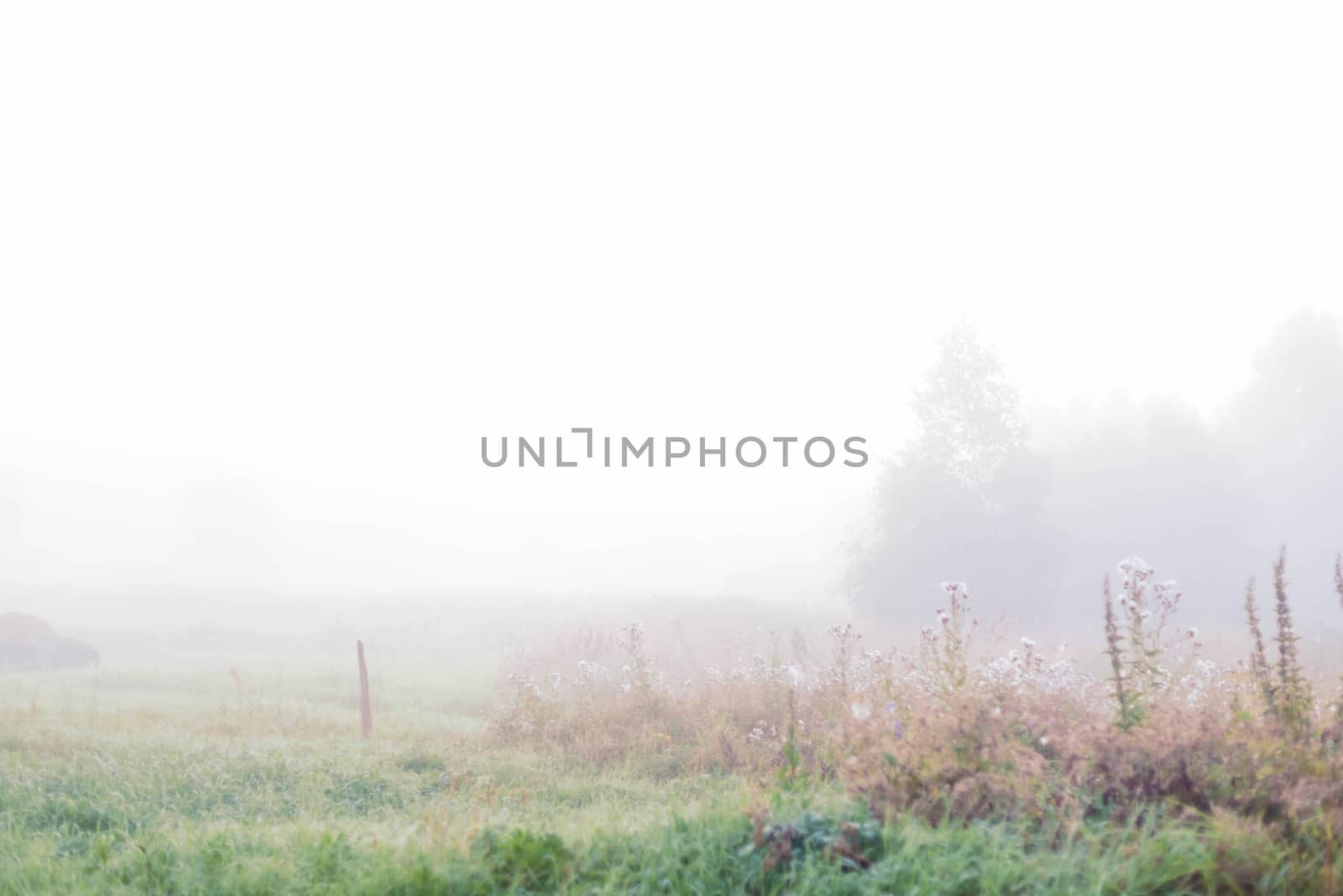 Thick fog. Rural landscape on a early foggy morning in the village, soft focus