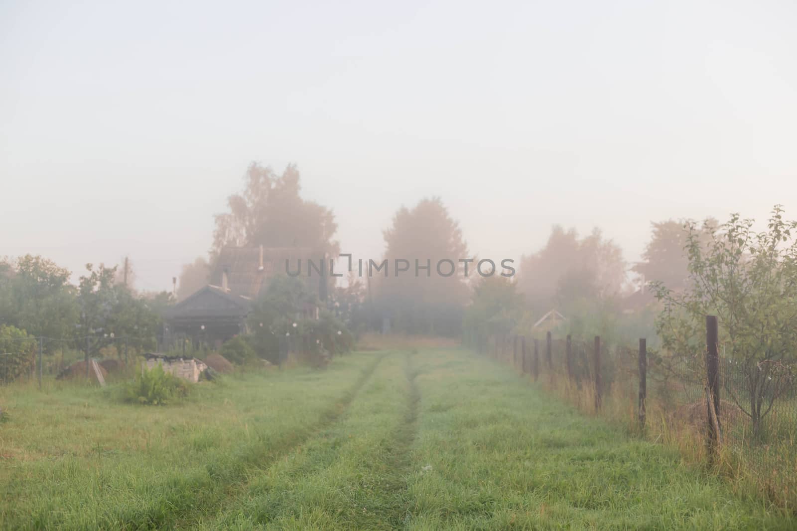 Thick fog. Rural landscape on a early foggy morning in the village, soft focus