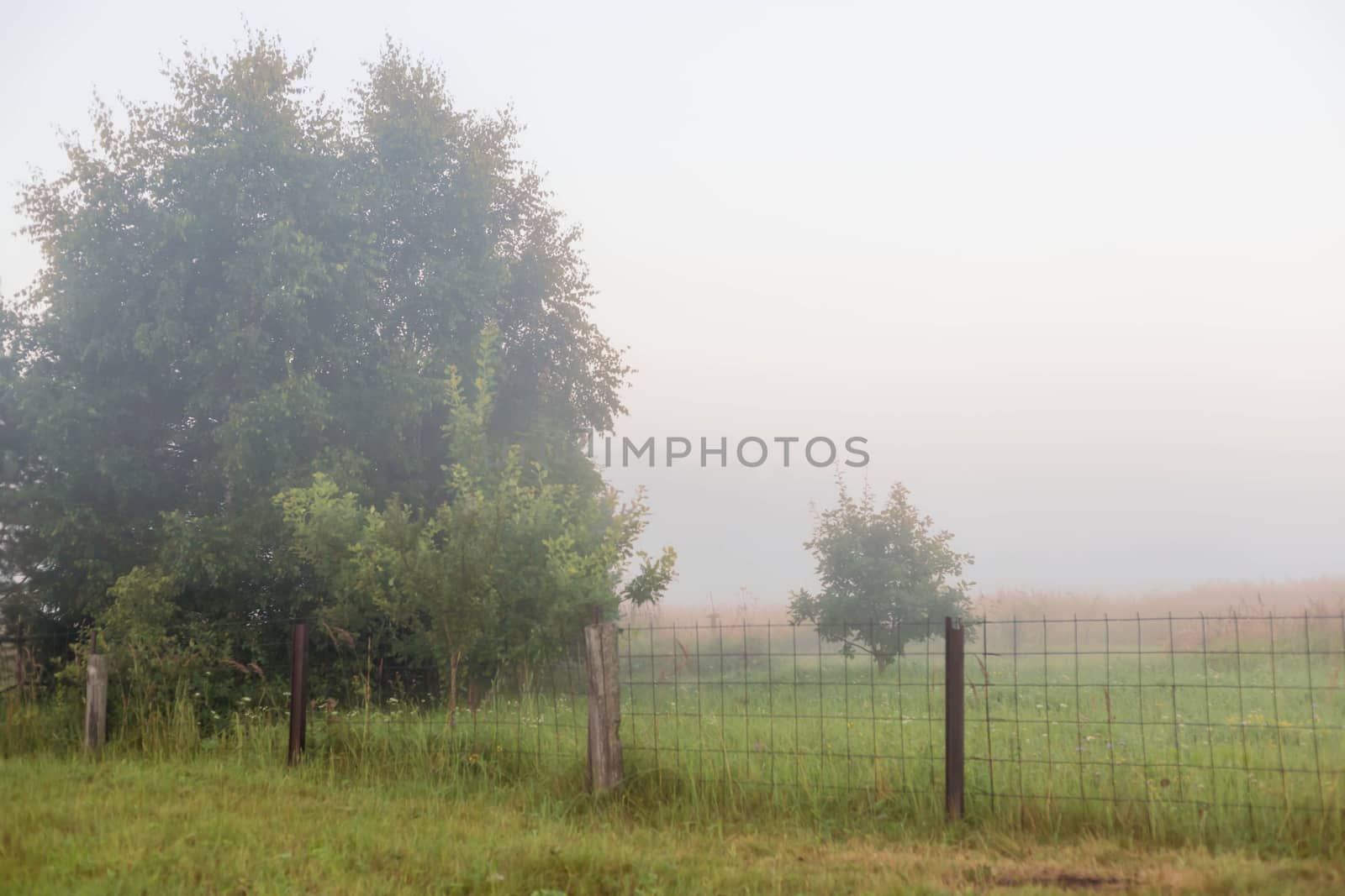 Thick fog. Rural landscape on a early foggy morning in the village, soft focus