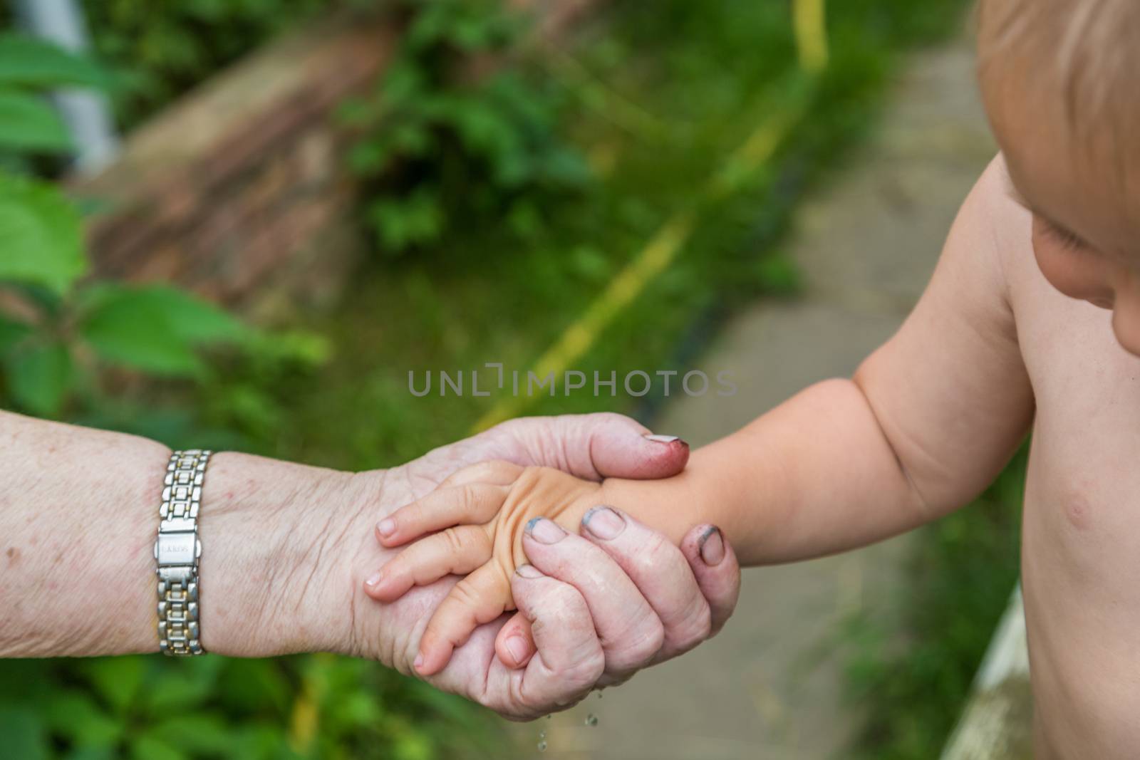 Close-up of tender gesture between two generations. Little boy holding hands with a senior lady.