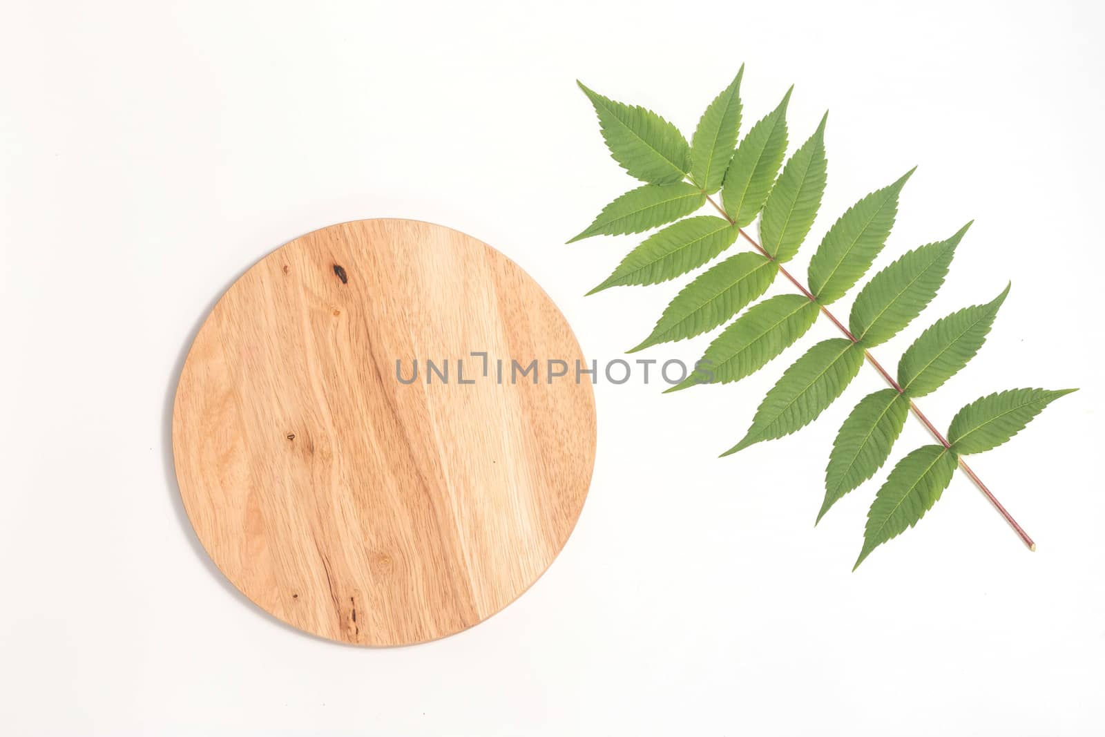 Bamboo Cutting Board with green leaf white whalnut on white background. Eco friendly housekeeping concept