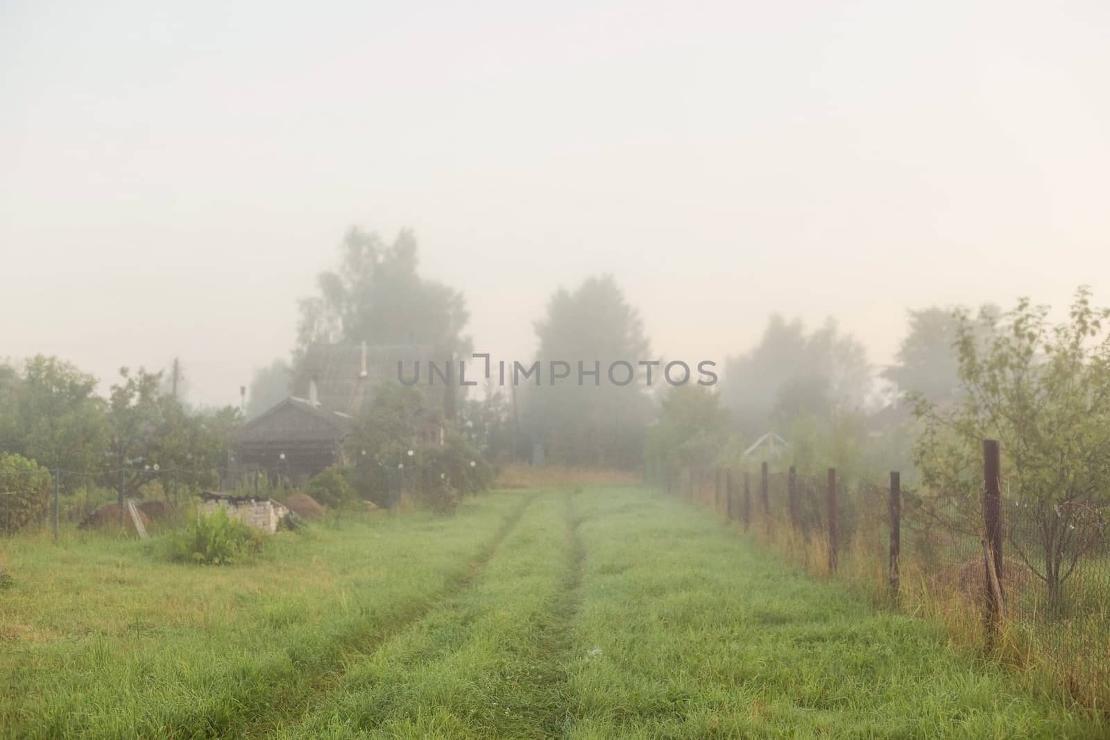 Rural landscape on a early foggy morning in the village