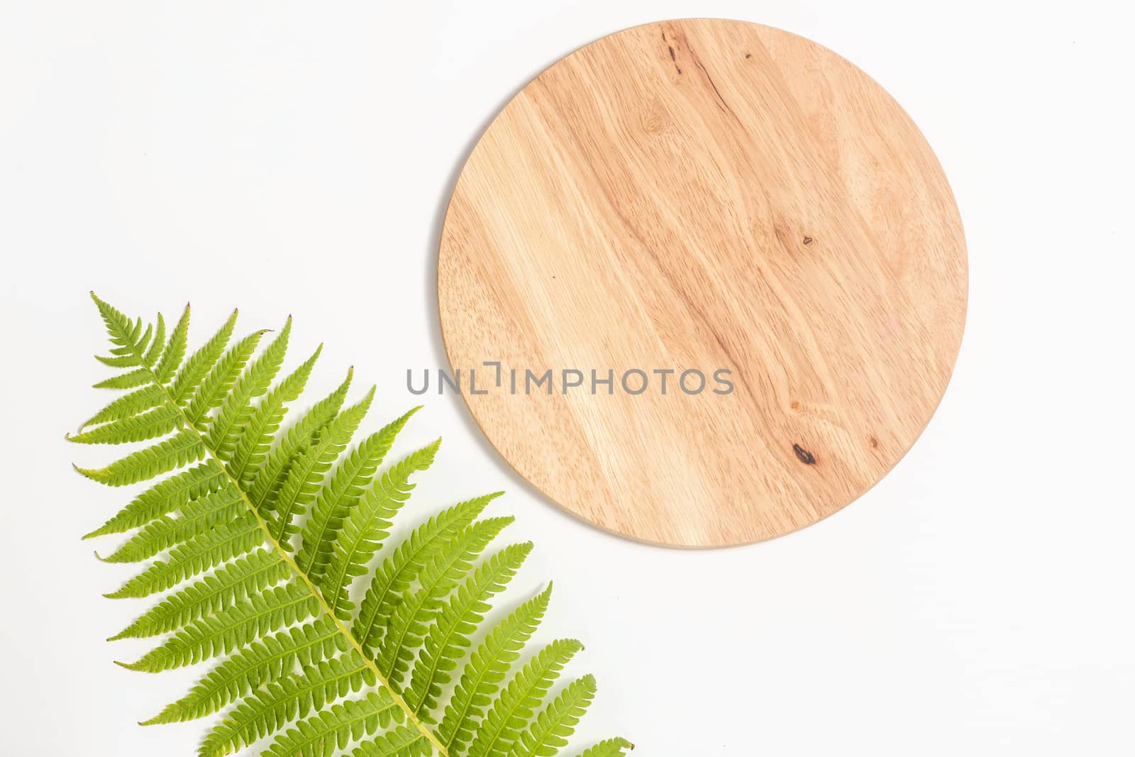 Bamboo Cutting Board with green leaf of fern on white background. Eco friendly housekeeping concept