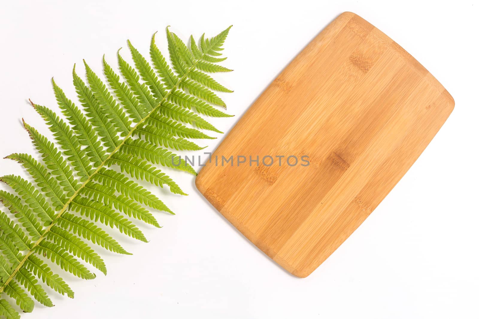 Bamboo Cutting Board with green leaf of fern on white background by galinasharapova