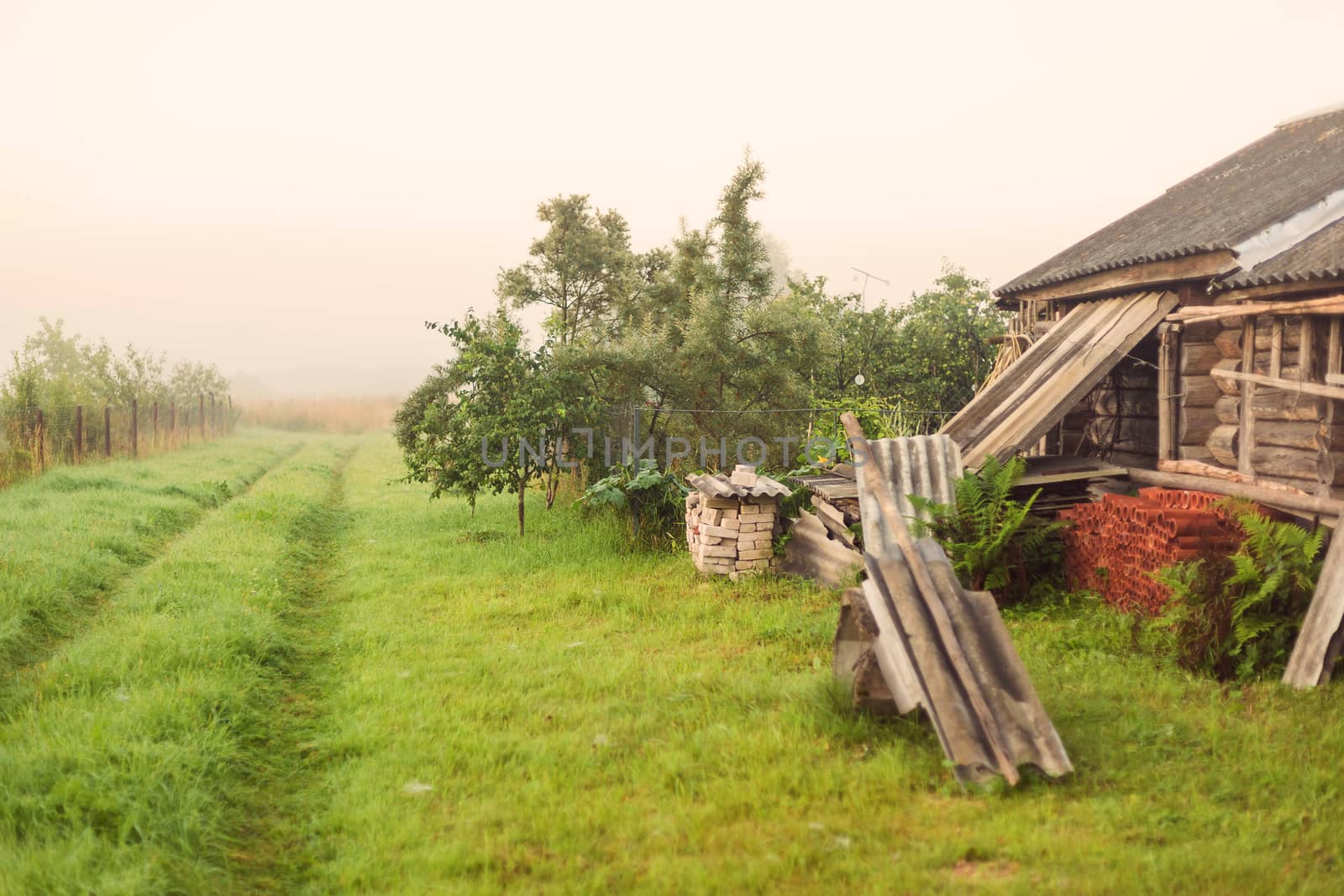 Rural landscape on a early foggy morning in the village