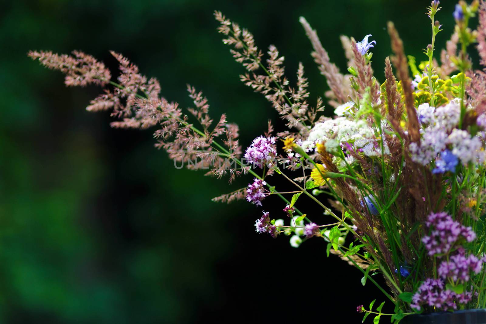 Bouquet of wild flowers in vase in a garden by galinasharapova