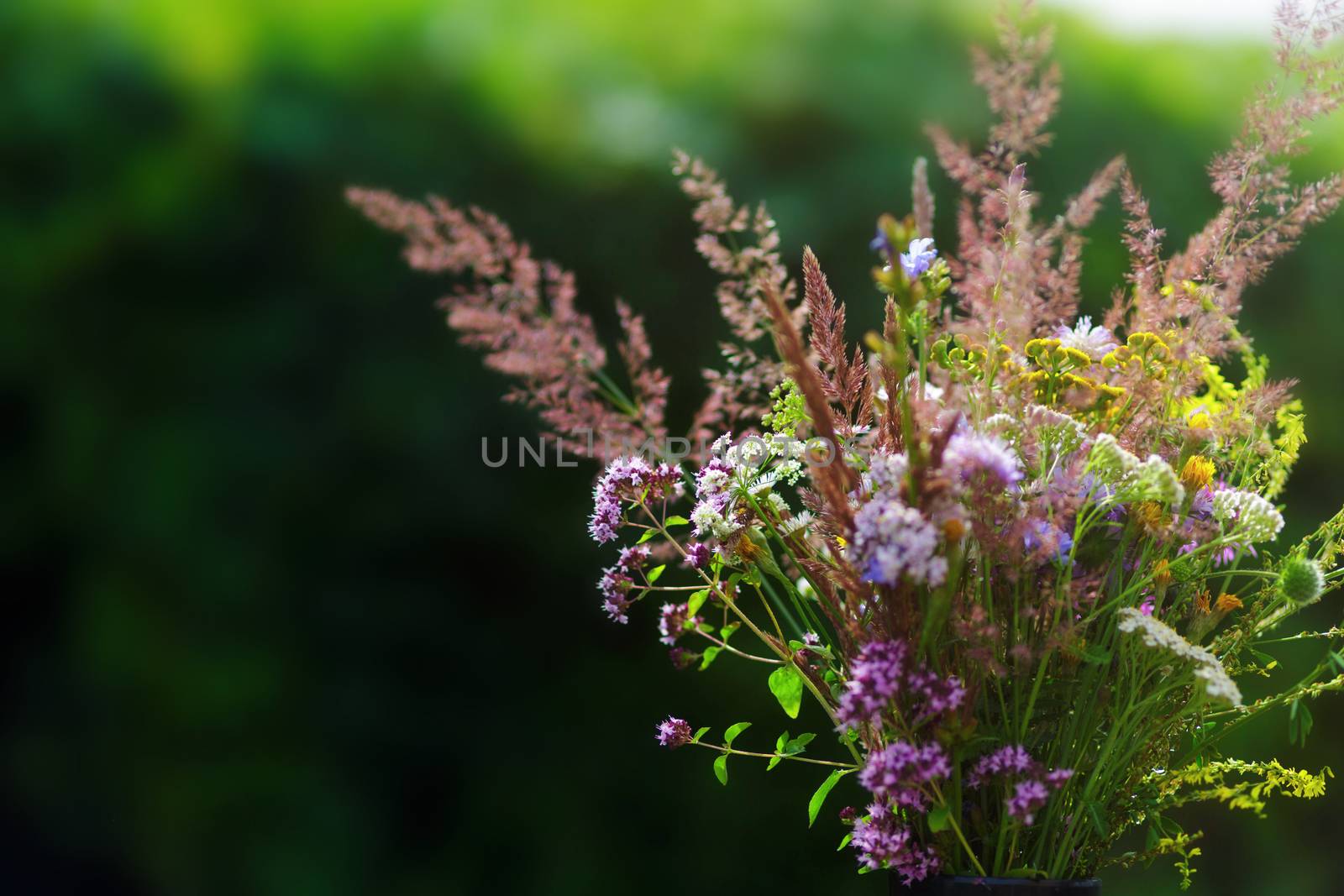 Bouquet of wild flowers in vase in a garden. Soft focus, nice beautiful bokeh