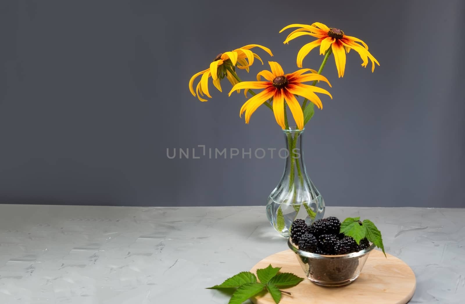 rudbeckia flowers in a transparent vase on a gray concrete table by galinasharapova