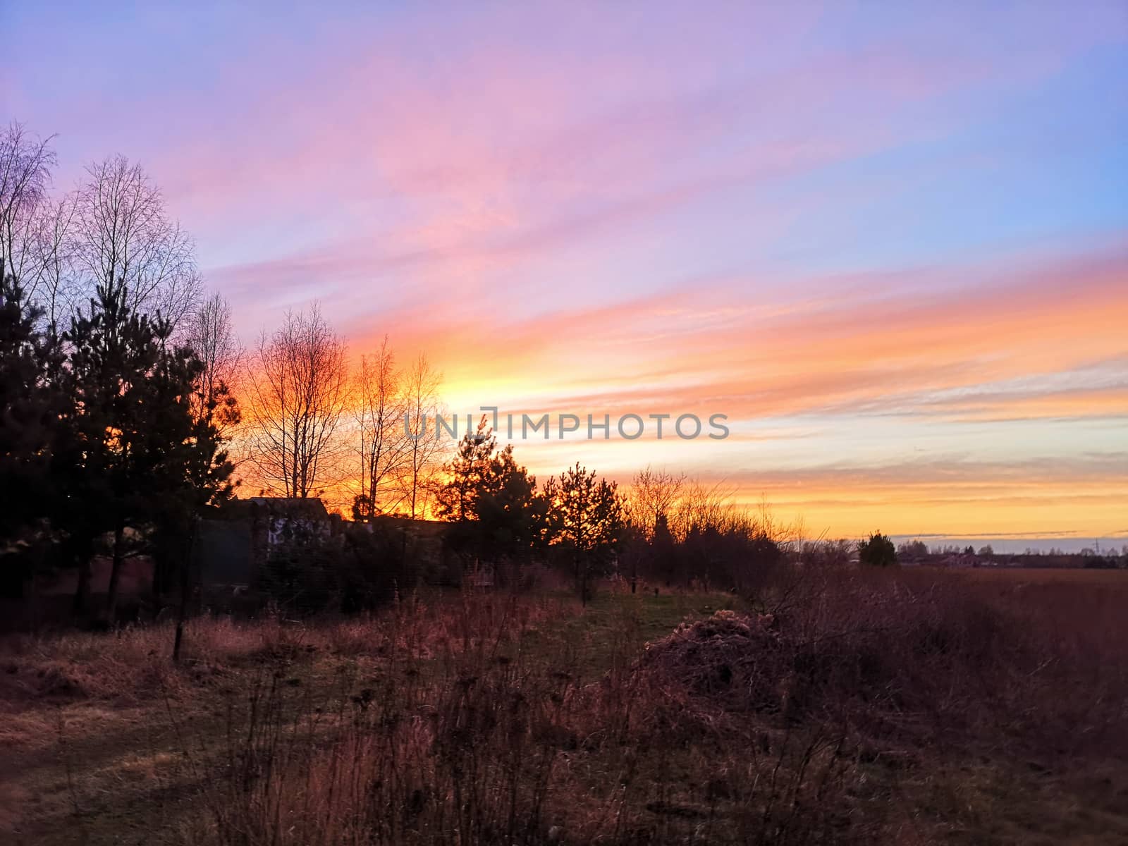 Sunset in the village. The sun went down low, the silhouettes of houses and trees appeared.