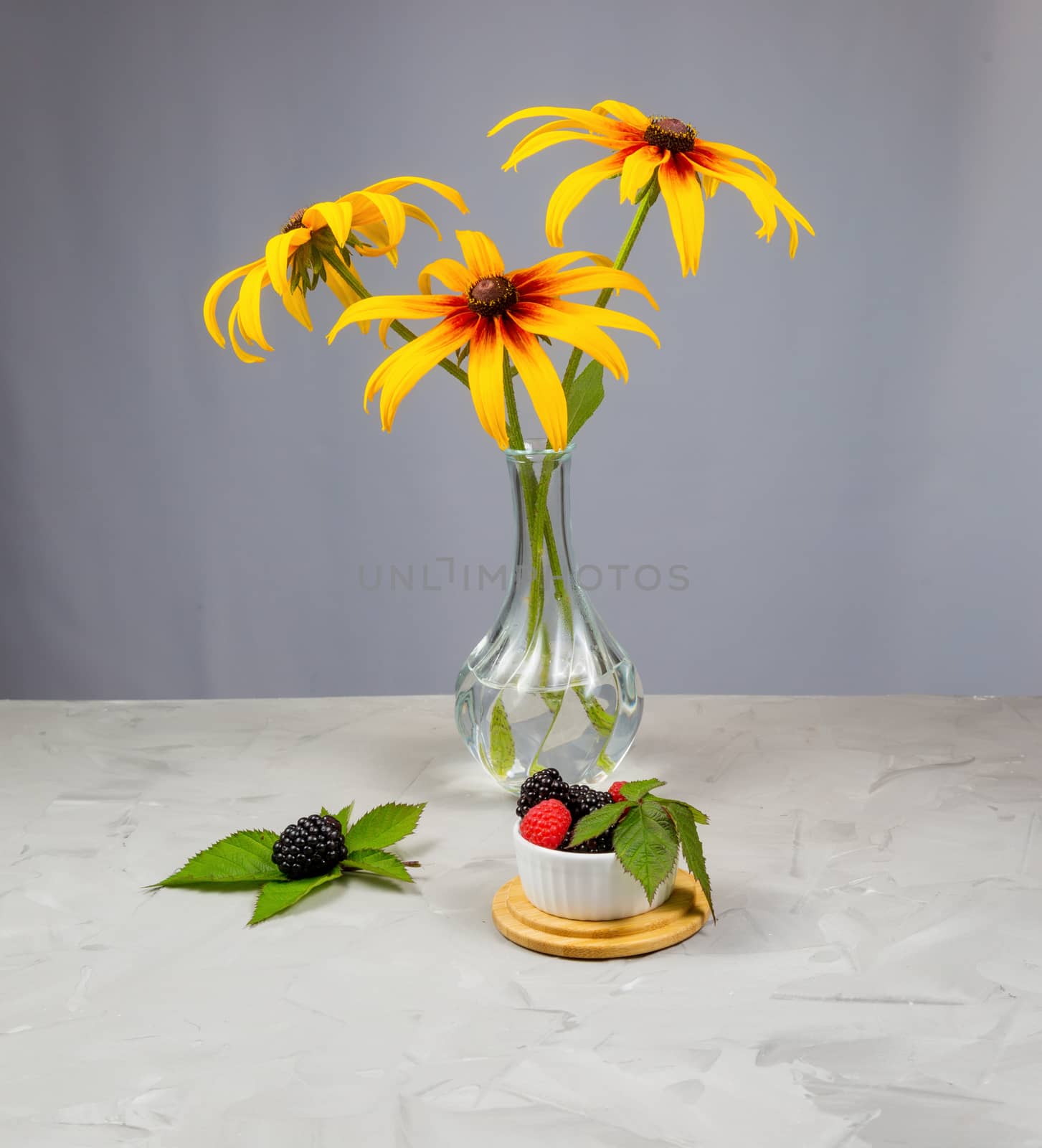 rudbeckia flowers in a transparent vase on a gray concrete table by galinasharapova