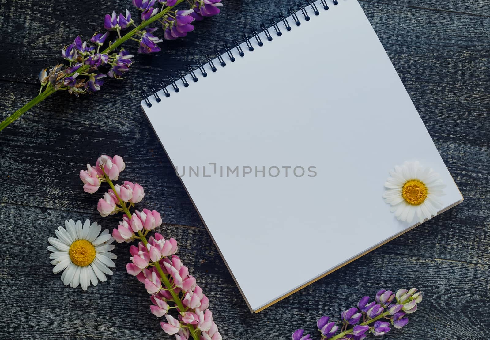 Still life, art, office supplies or education concept : Top view image of open notebook with blank pages on wooden background, ready for adding or mock up