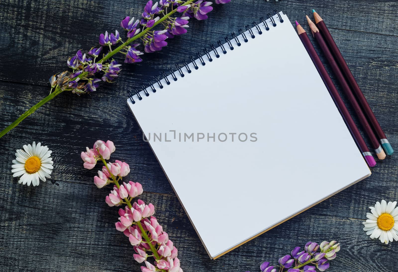 Still life, art, office supplies or education concept : Top view image of open notebook with blank pages on wooden background, ready for adding or mock up