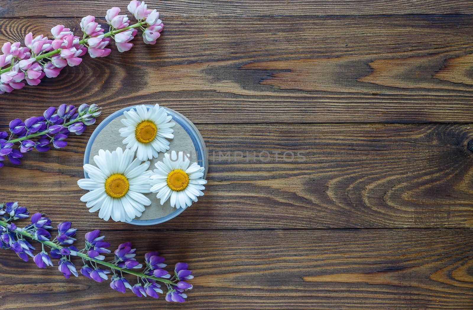 Cosmetic bottle containers with hermal camomile flowers Blank label for branding by galinasharapova