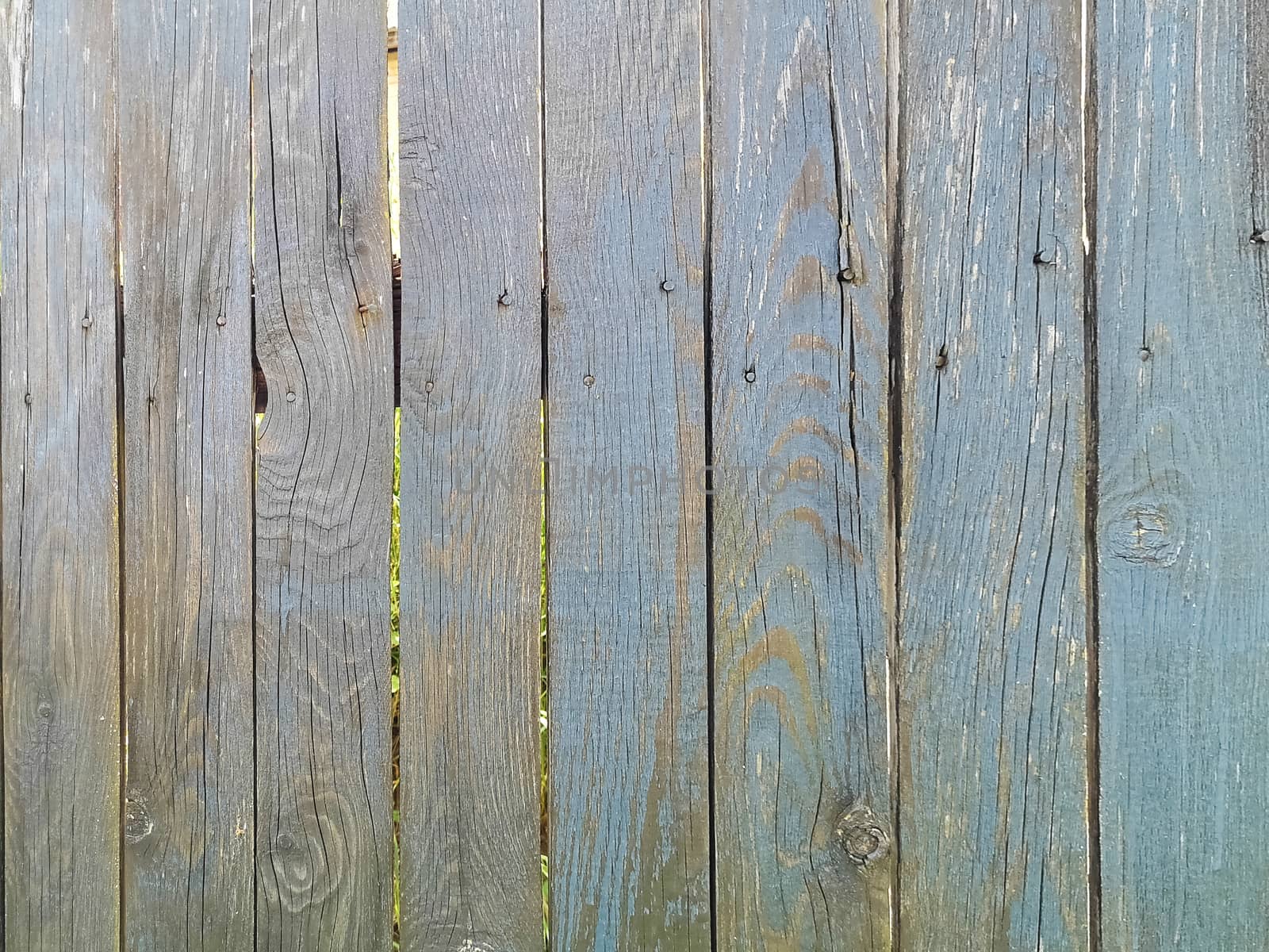 Green wood texture background. .Old ragged painted fence. by galinasharapova