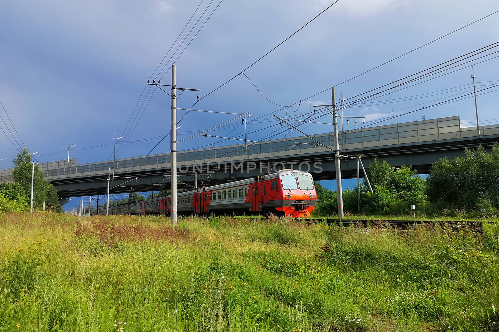 train at the railway in a rural landscape. Evening, summer time by galinasharapova