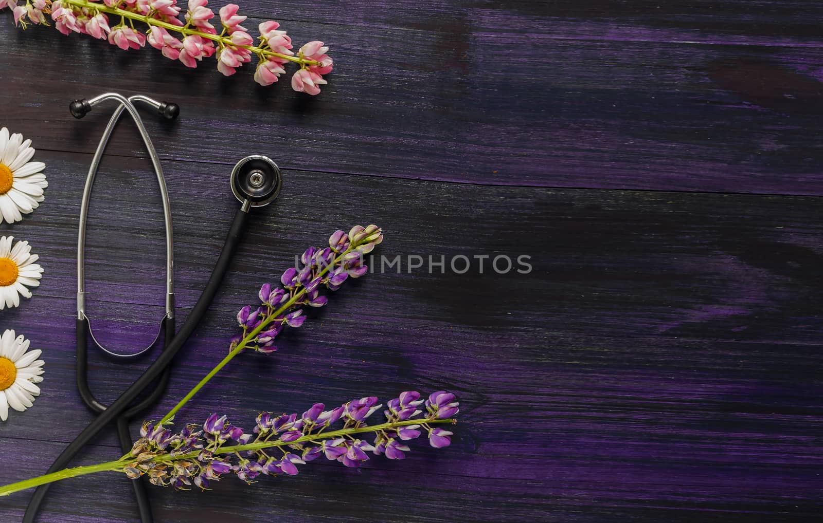 Still life made of stethoscope and flowers. Coronavirus, COVID-19 quarantine concept, second wave. Medical supplies, medical equipment concepts