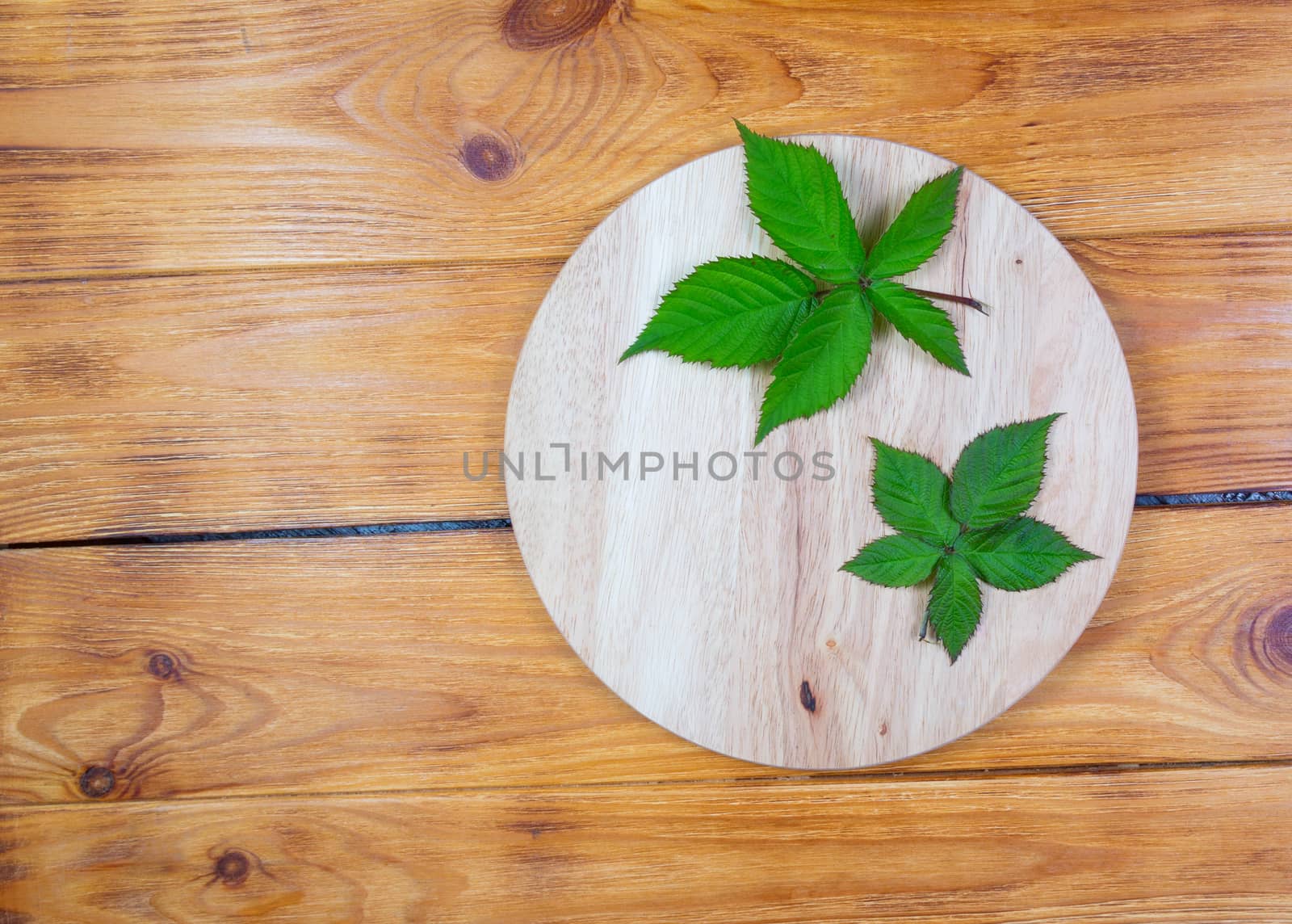 .blackberry leaves on bamboo cutting board on wooden background. by galinasharapova