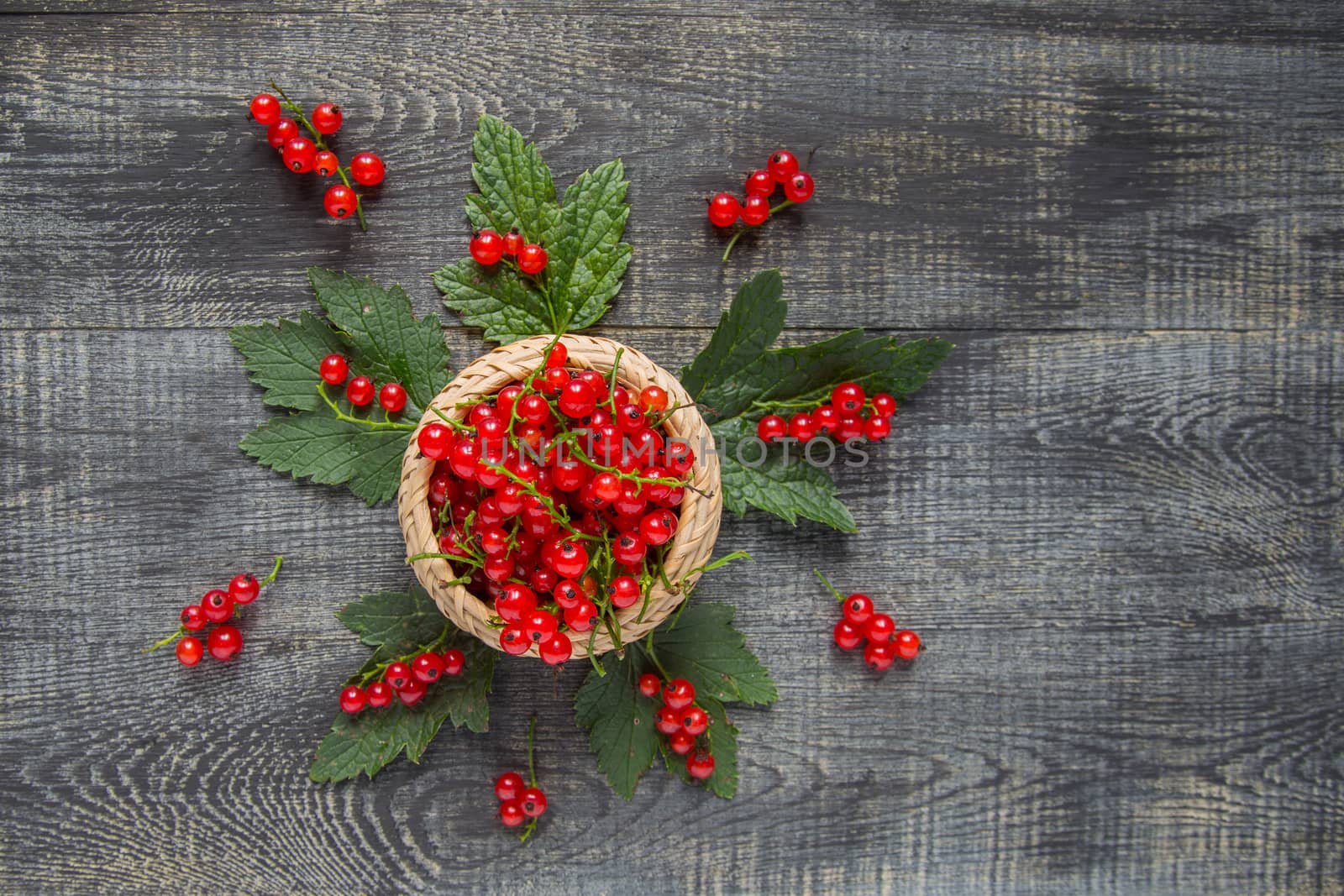 red currant berries in a ceramic bowl on a rustic wooden background. close up and selective focus