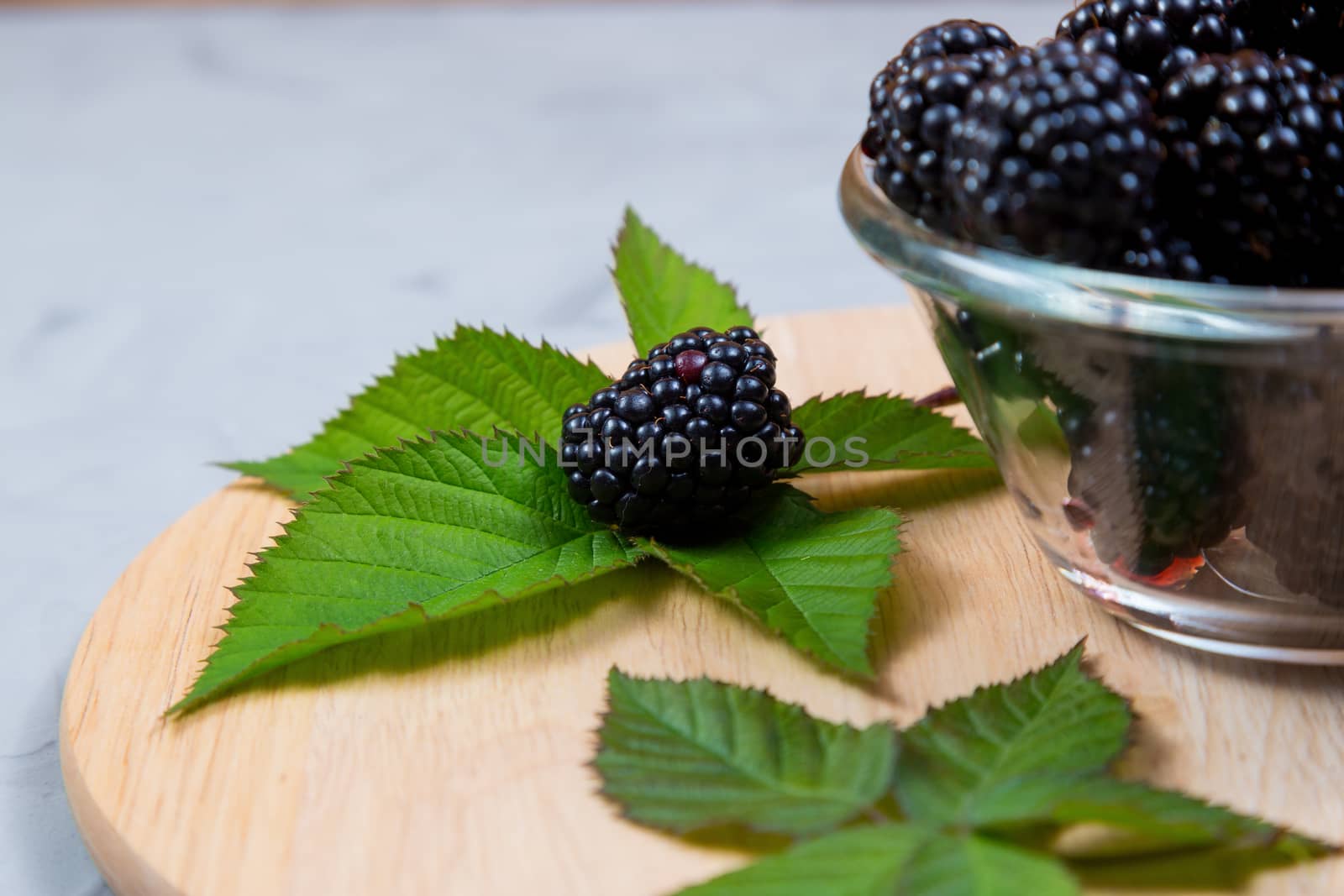 Ripe sweet blackberry on gray concrete background. Selective focus by galinasharapova