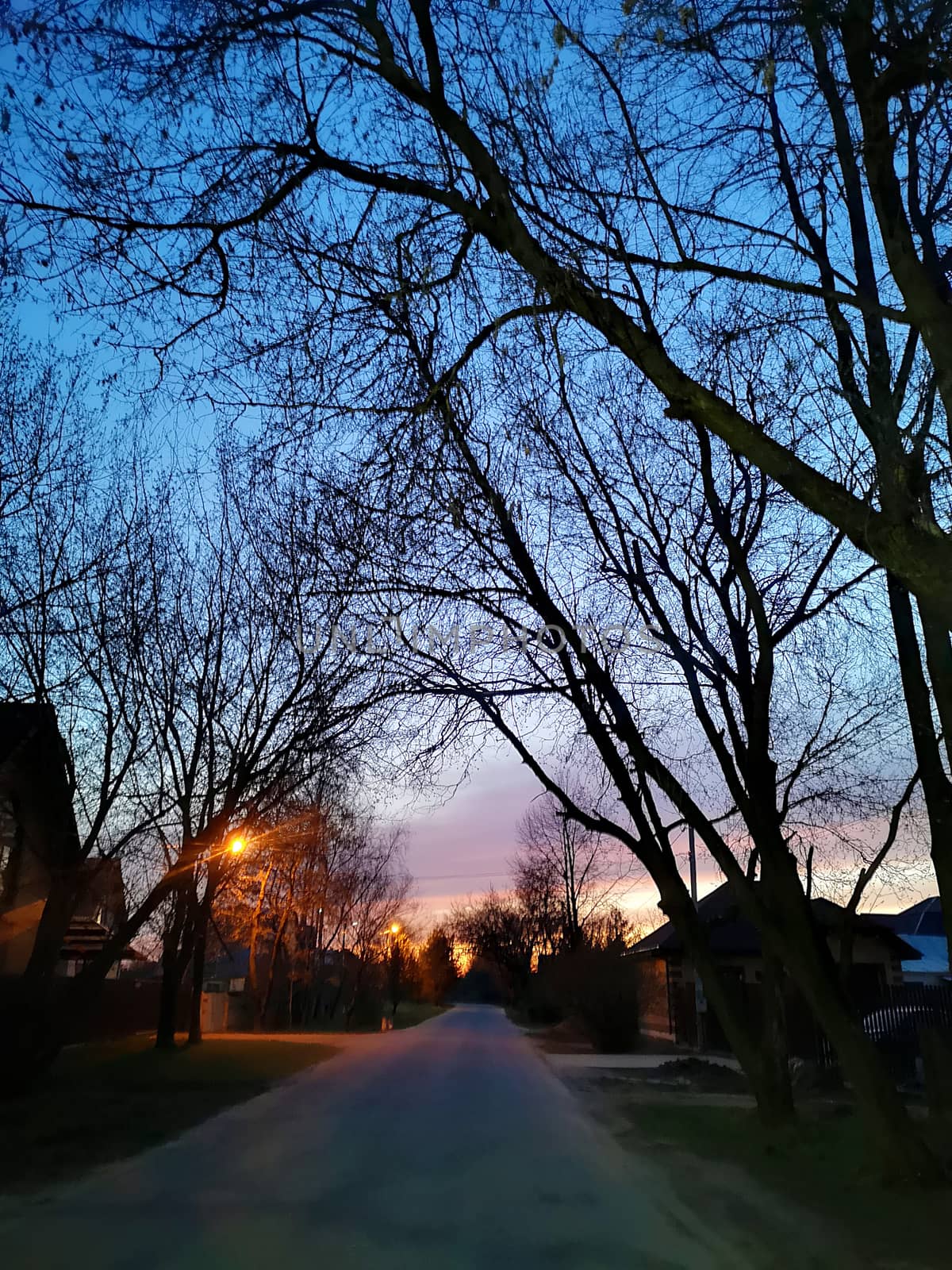 Sunset in the village. The sun went down low, the silhouettes of houses and trees appeared.