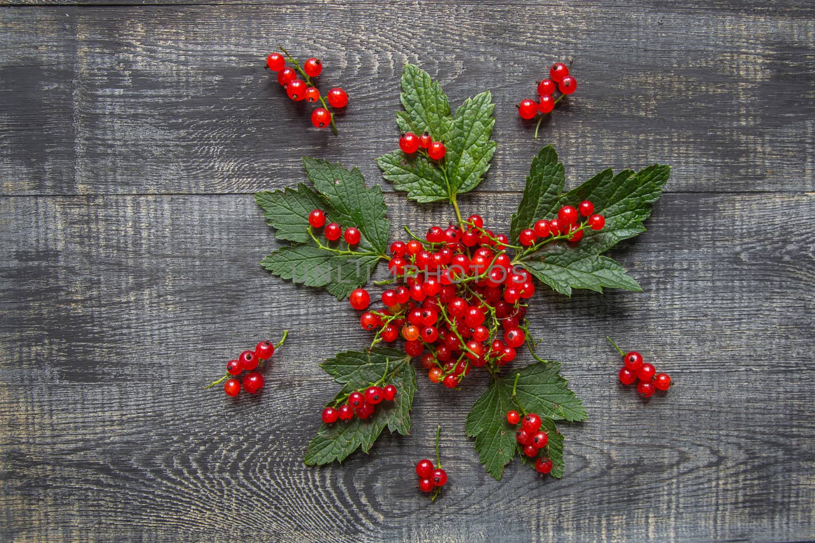 red currant berries on a rustic wooden background. by galinasharapova