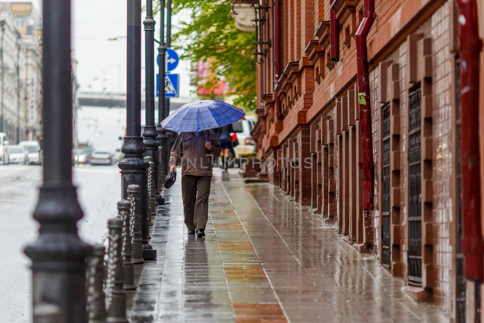 A man walks under an umbrella during the rain, having his face off the camera by PrimDiscovery