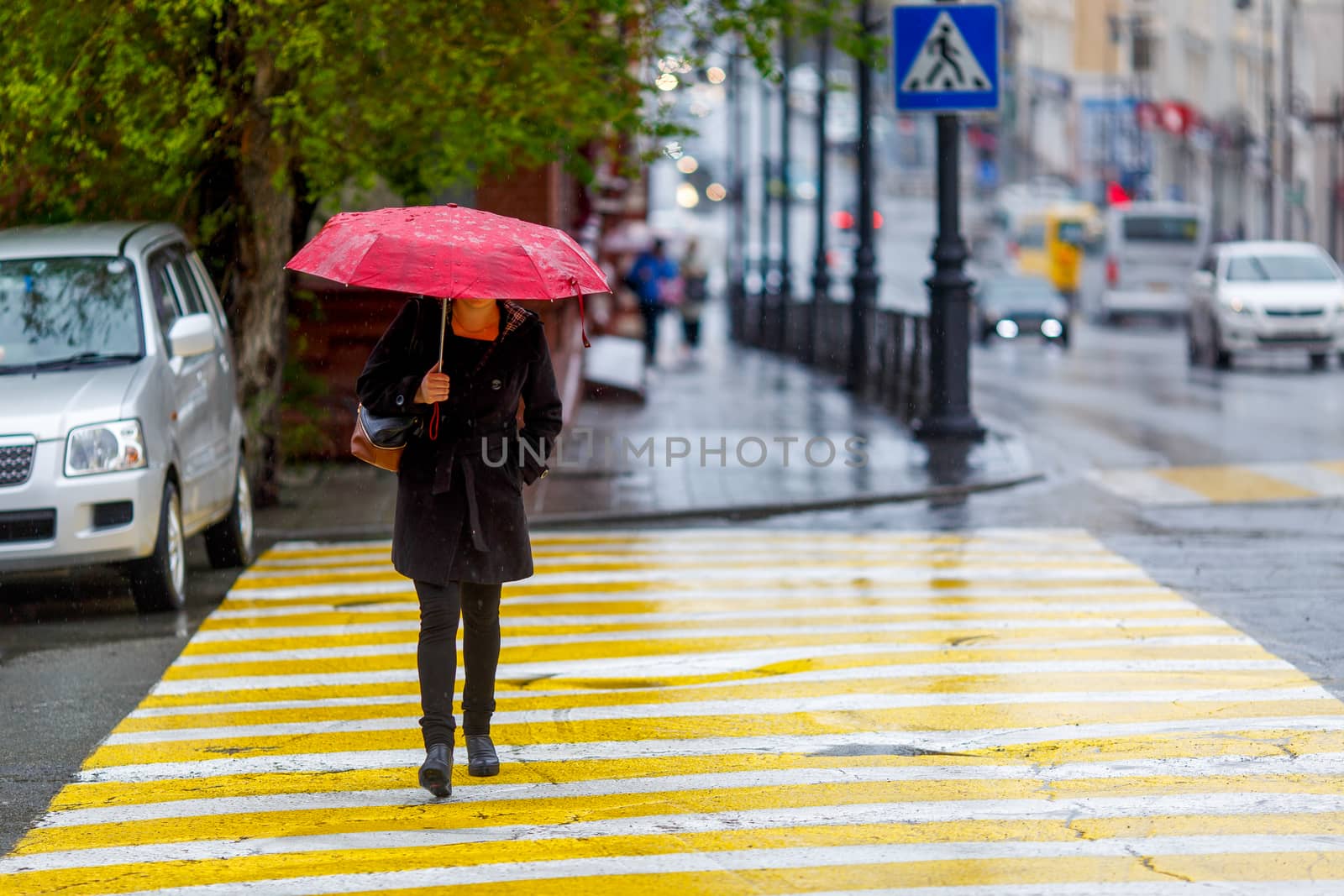 A man walks under an umbrella during the rain, having his face off the camera.