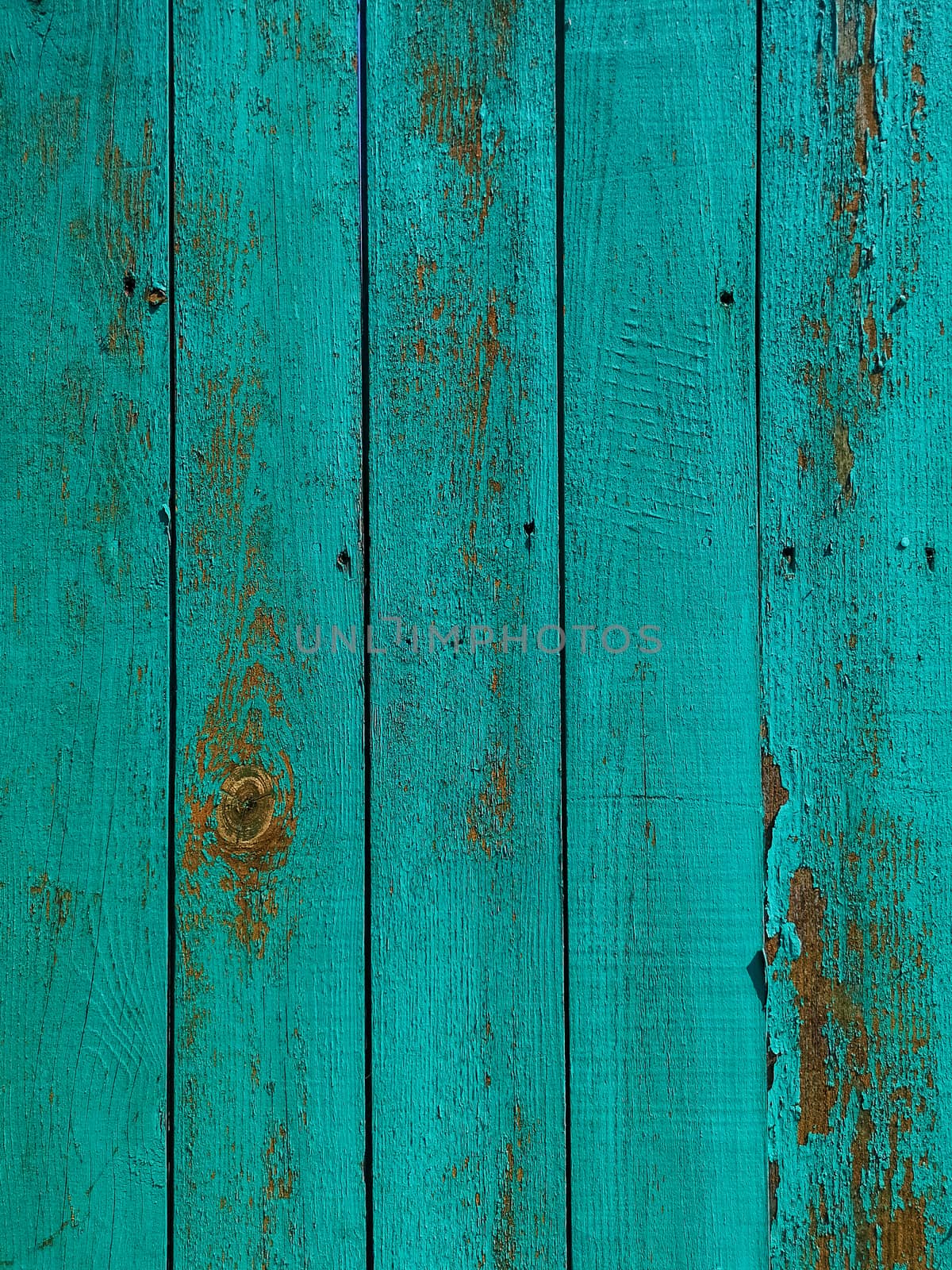 Green wood texture background. .Old ragged painted fence. by galinasharapova
