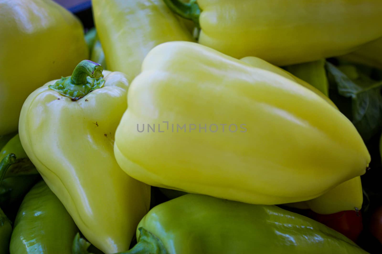Freshly picked vegetables. Different types of peppers. Big yellow peppers. Organic vegetables grown in the garden. by mahirrov