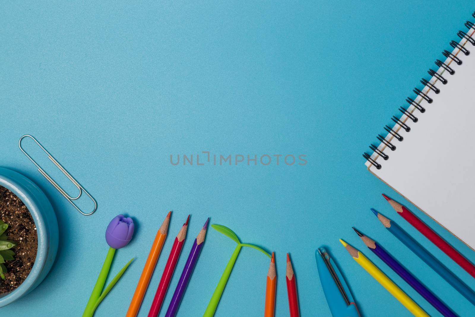 School supplies. Top view on a blue background with copy space. by galinasharapova