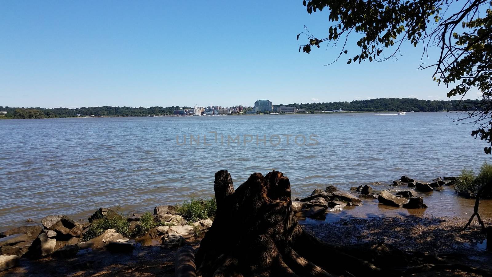 tree stump and rocks and river and National Harbor by stockphotofan1