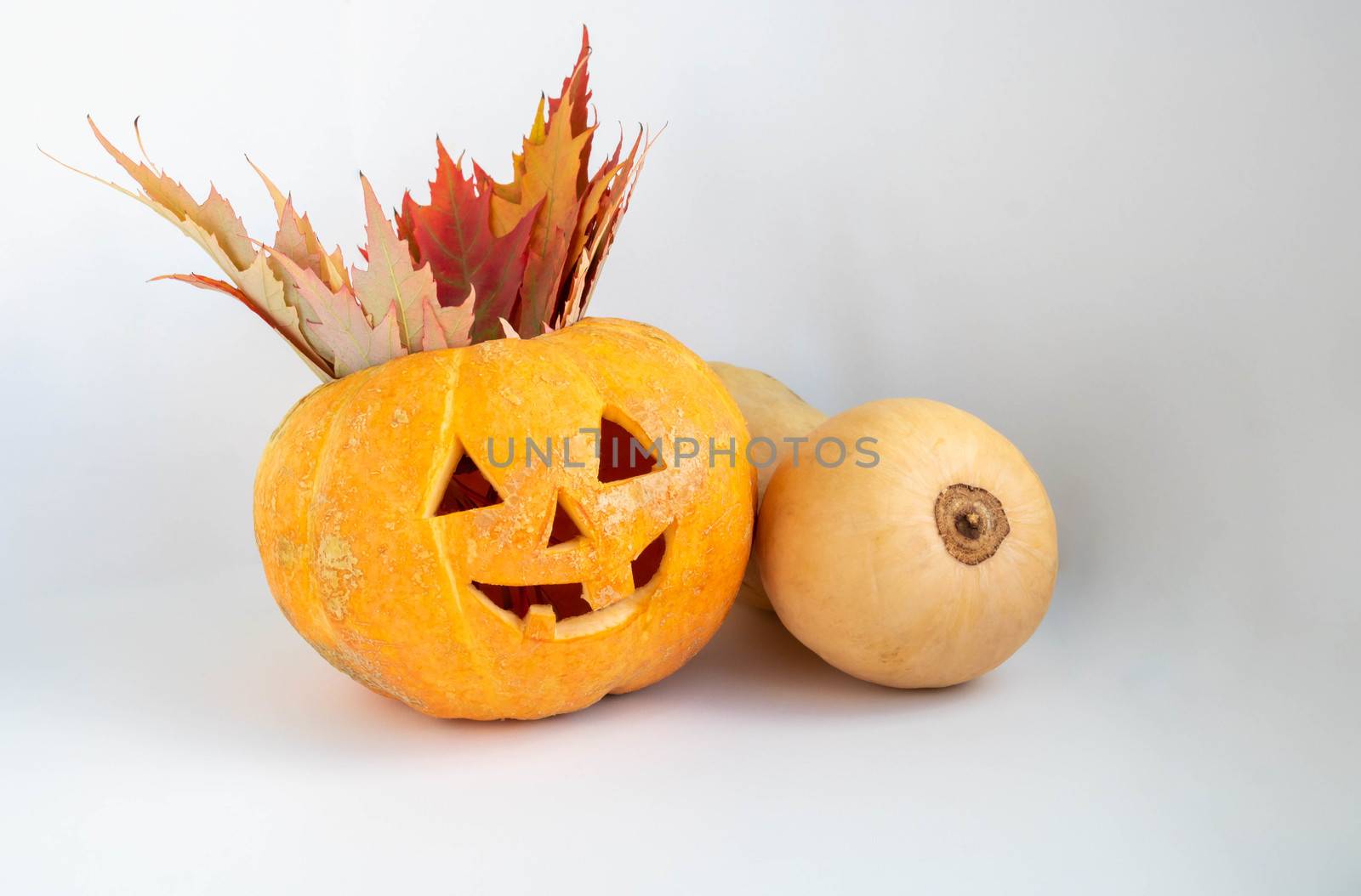 Funny pumpkin with maple leaves on a white background.The Concept Of Halloween by lapushka62