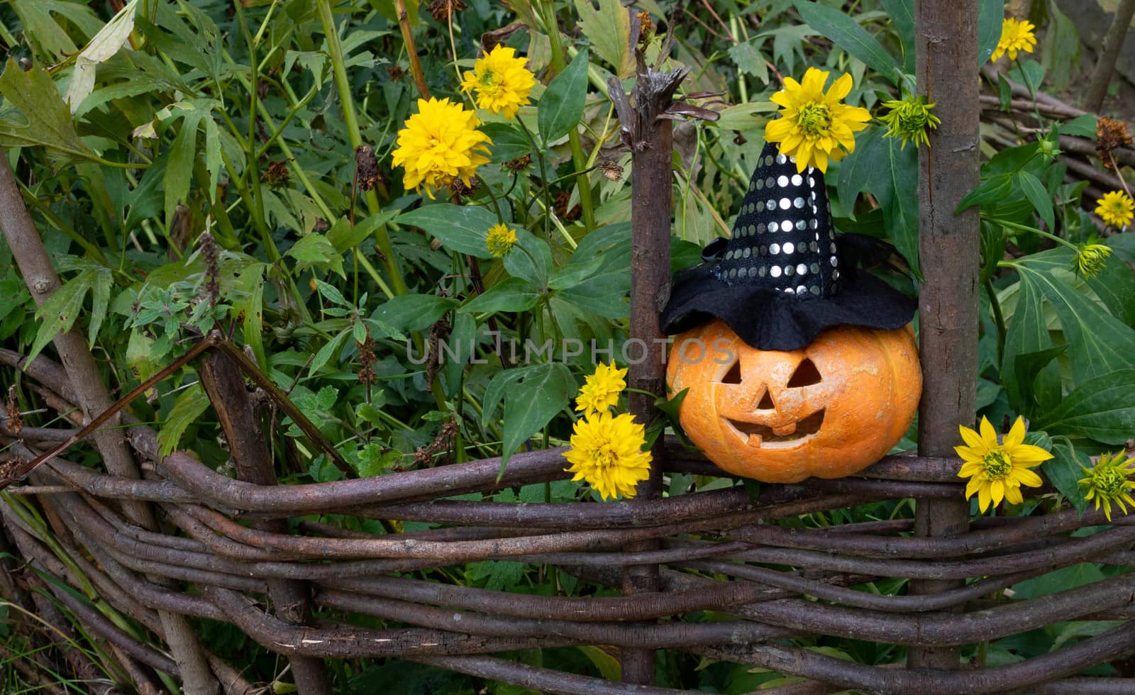 A cheerful pumpkin in a witch's hat is sitting on a fence among yellow flowers.The concept of Halloween.