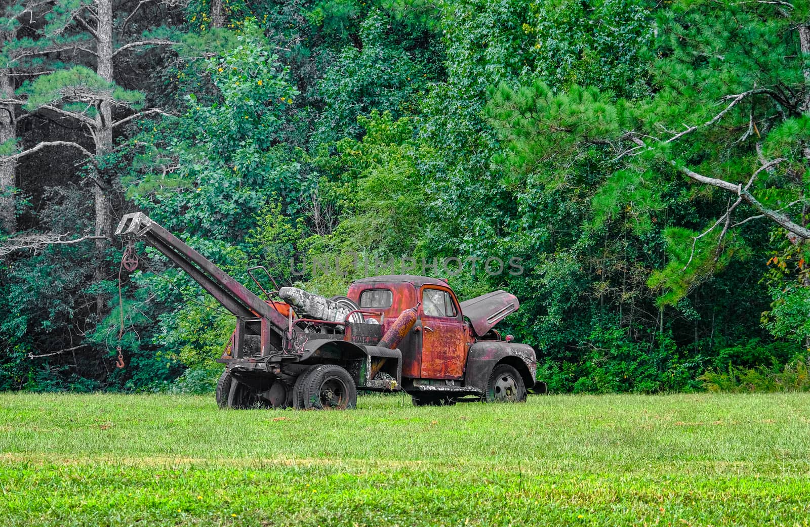 An Old Rusty Wrecker in Field Near Summer Woods