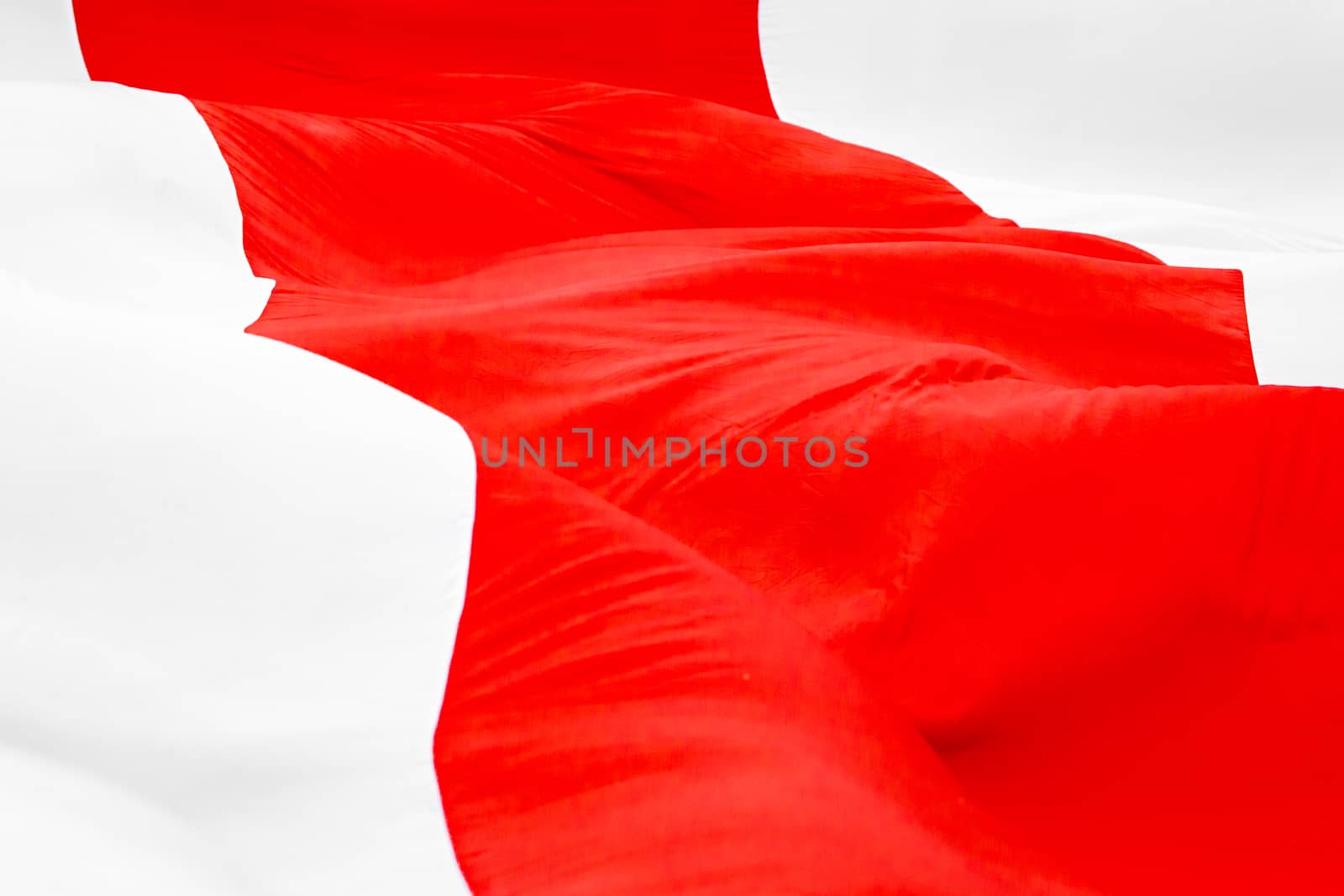White red white flag. Historical Belarus national flag waves