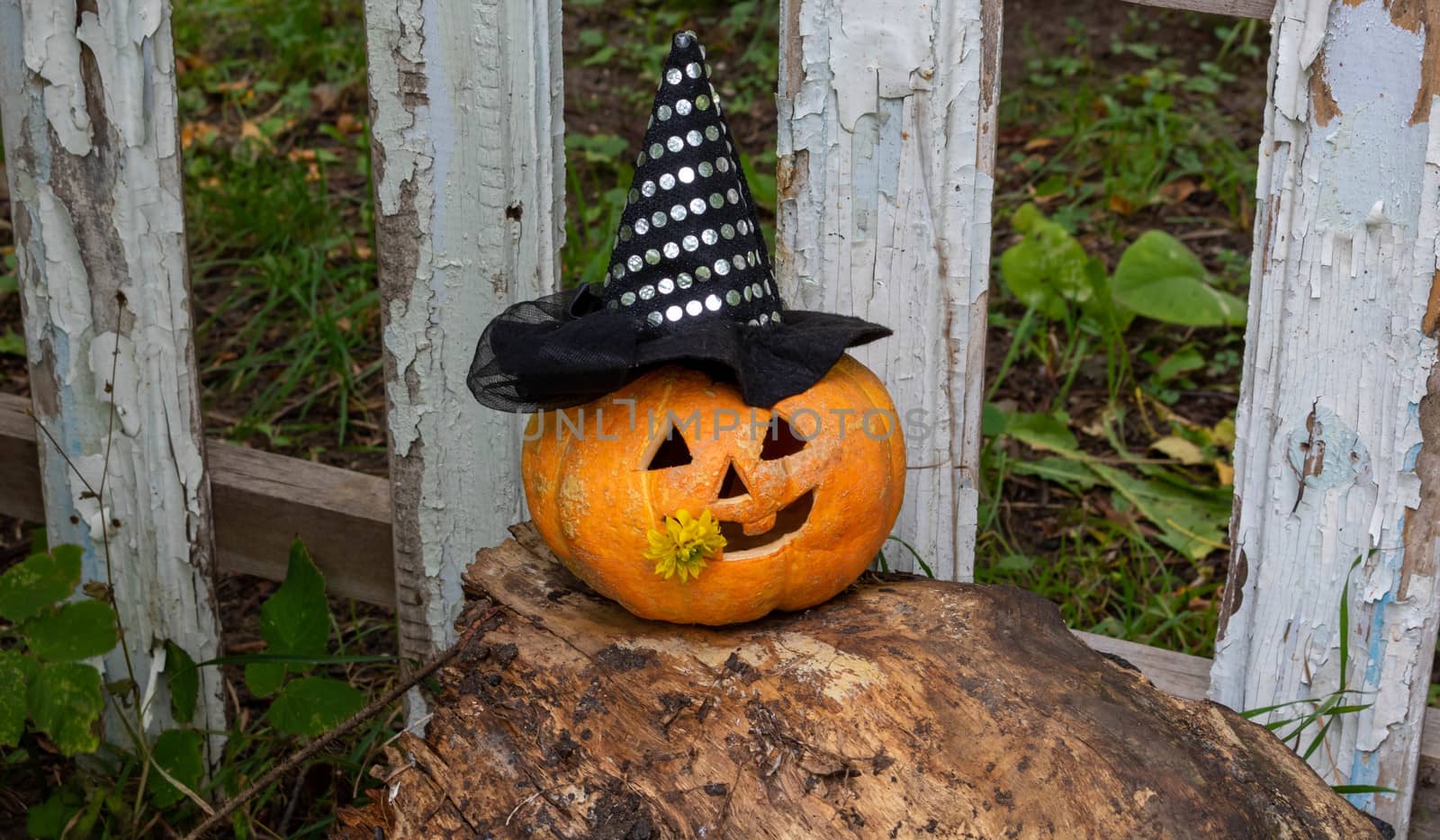 A cheerful pumpkin in a Witch's hat is sitting on a stump near the fence.The Concept Of Halloween.