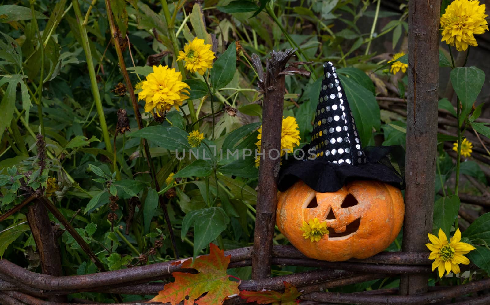 A cheerful pumpkin in a witch's hat is sitting on a fence among yellow flowers.The concept of Halloween.