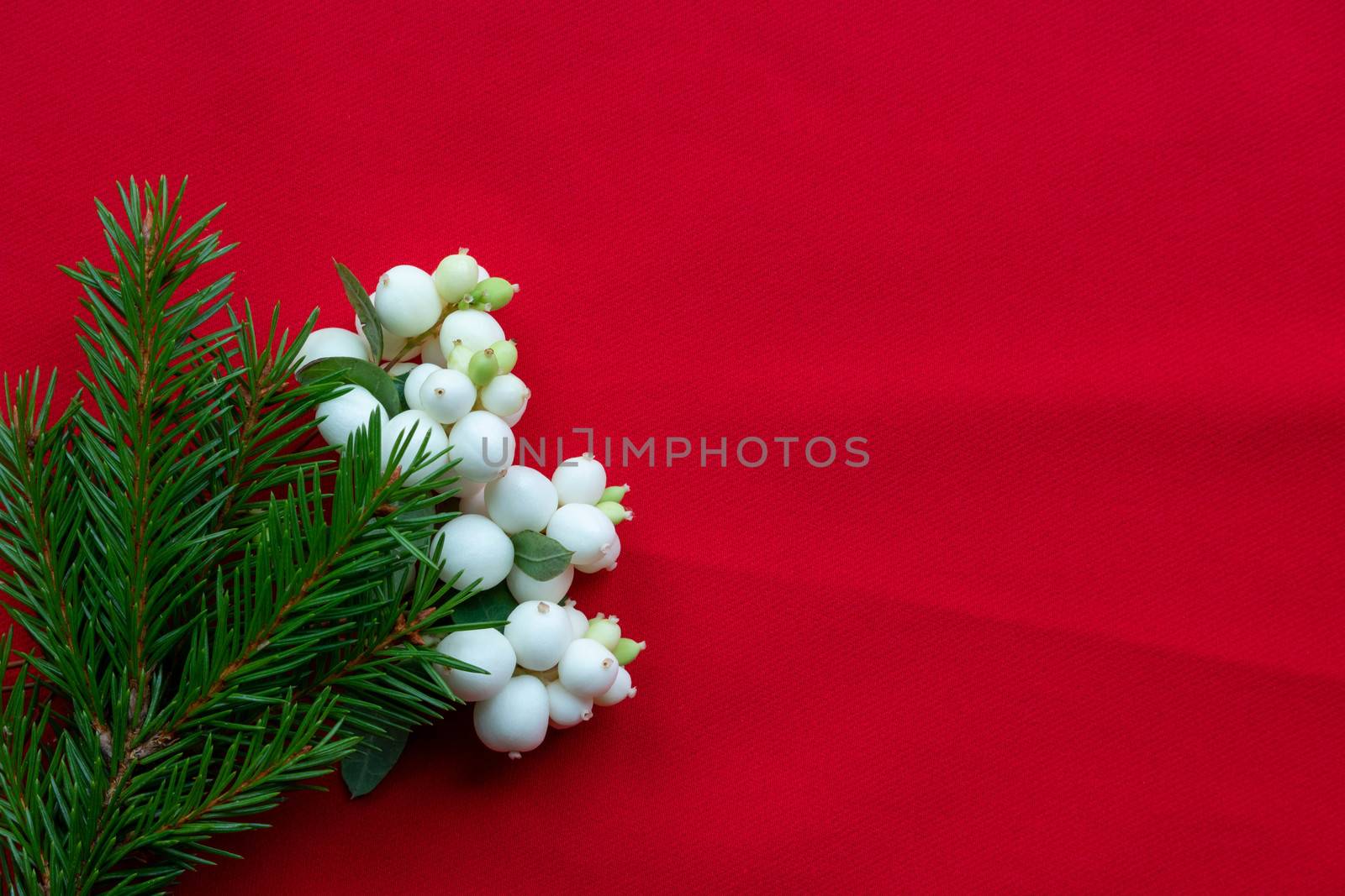 Christmas bouquet with fir branches and white dogwood berries on a red background . Christmas card. The theme of a winter holiday. Happy New Year. Space for text by lapushka62