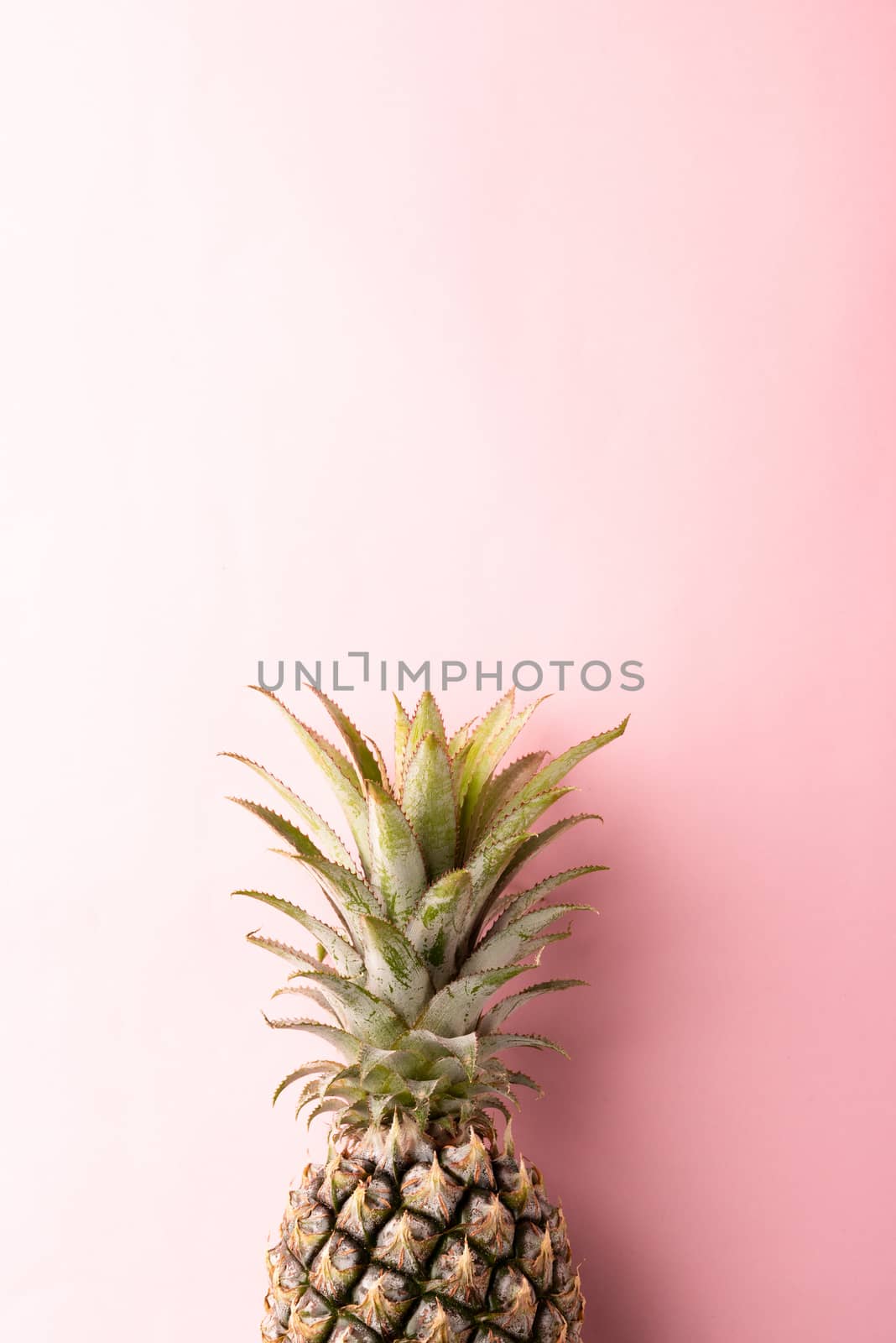 Close up above top view of ripe pineapple fruit on pink pastel background, Summer Tropical concept