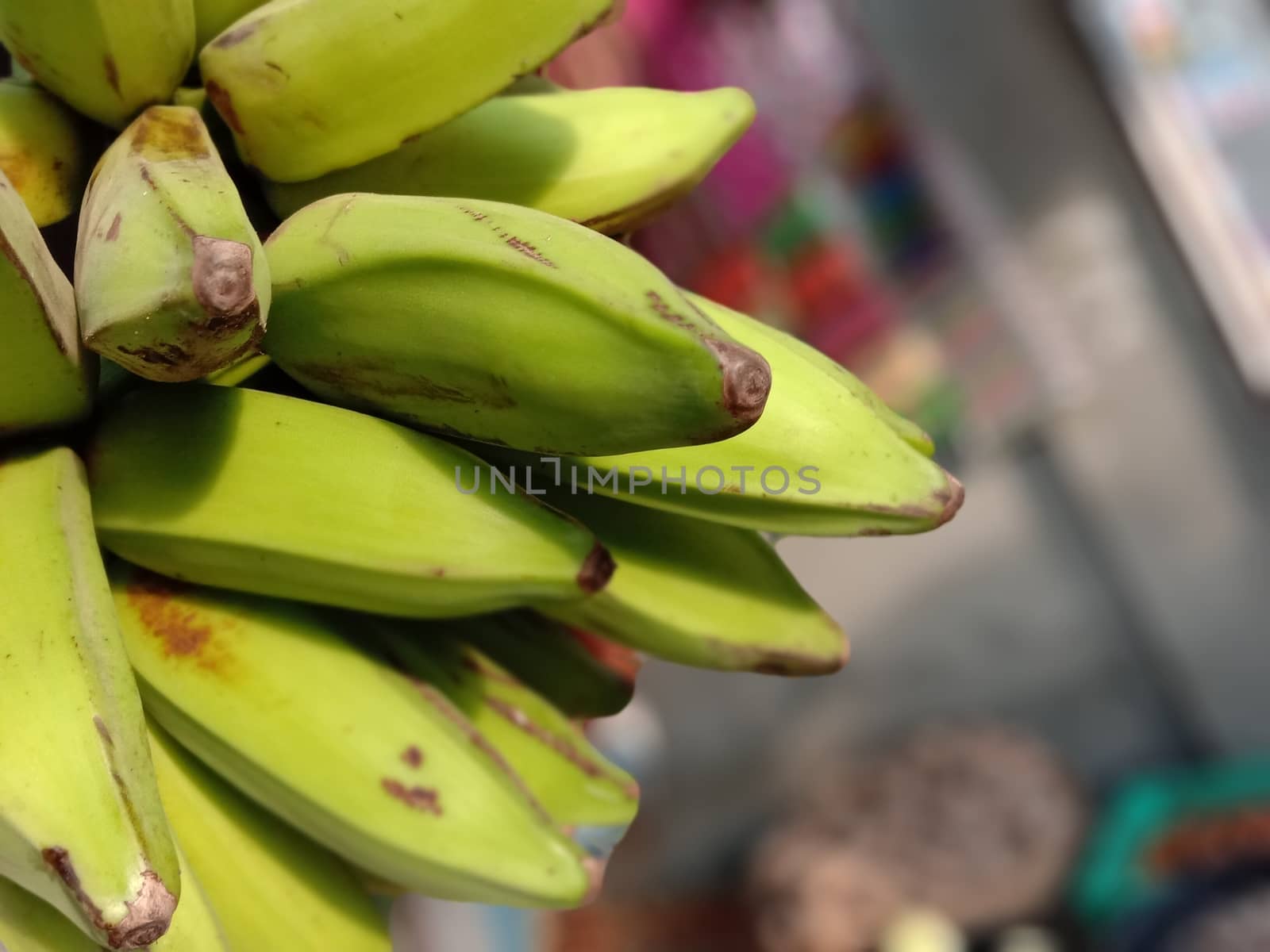 tasty and healthy raw banana bunch with blur background