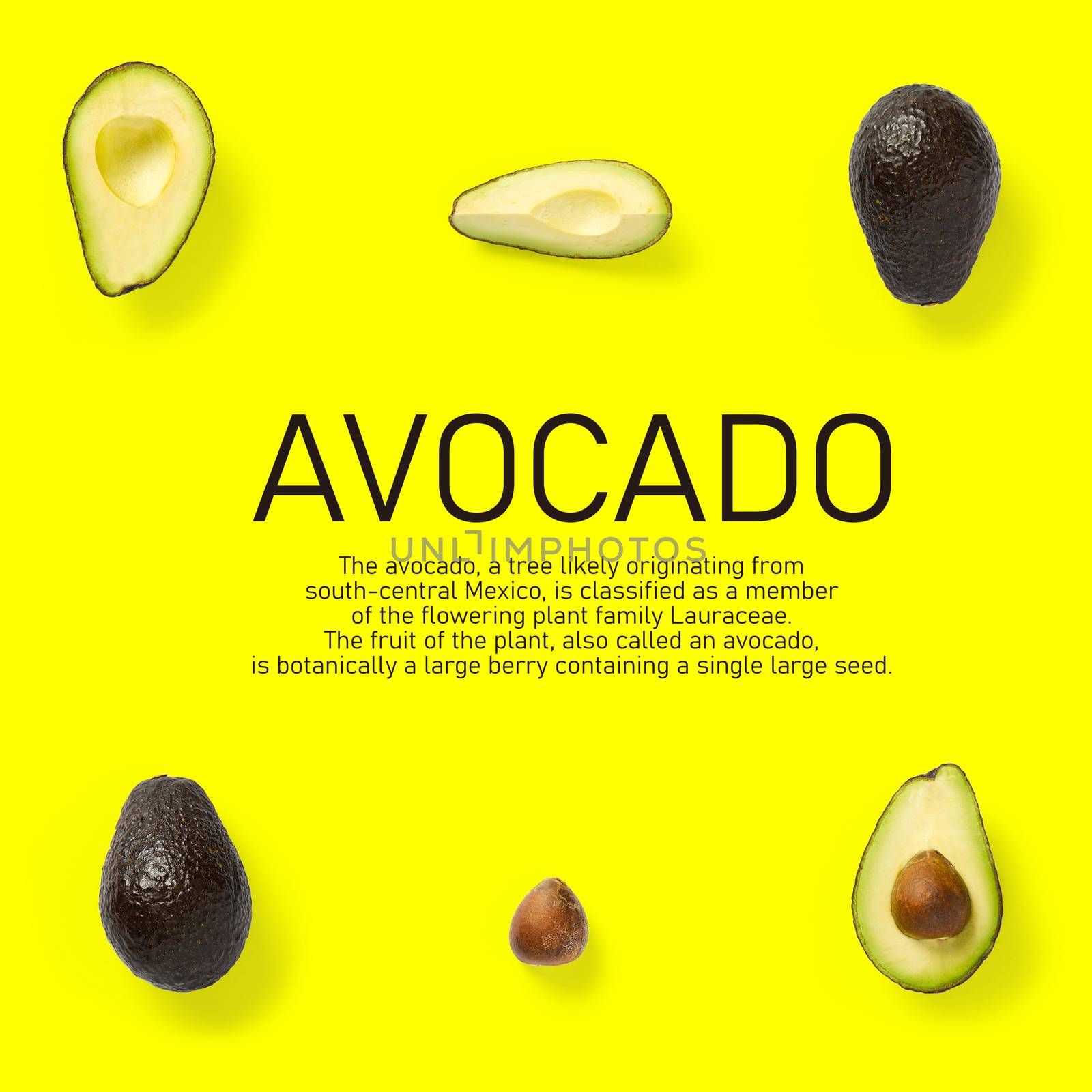 Modern creative avocado collage with simple text on solid color background. Avocado slices creative layout on yellow background. Flat lay, Design elements, Food concept