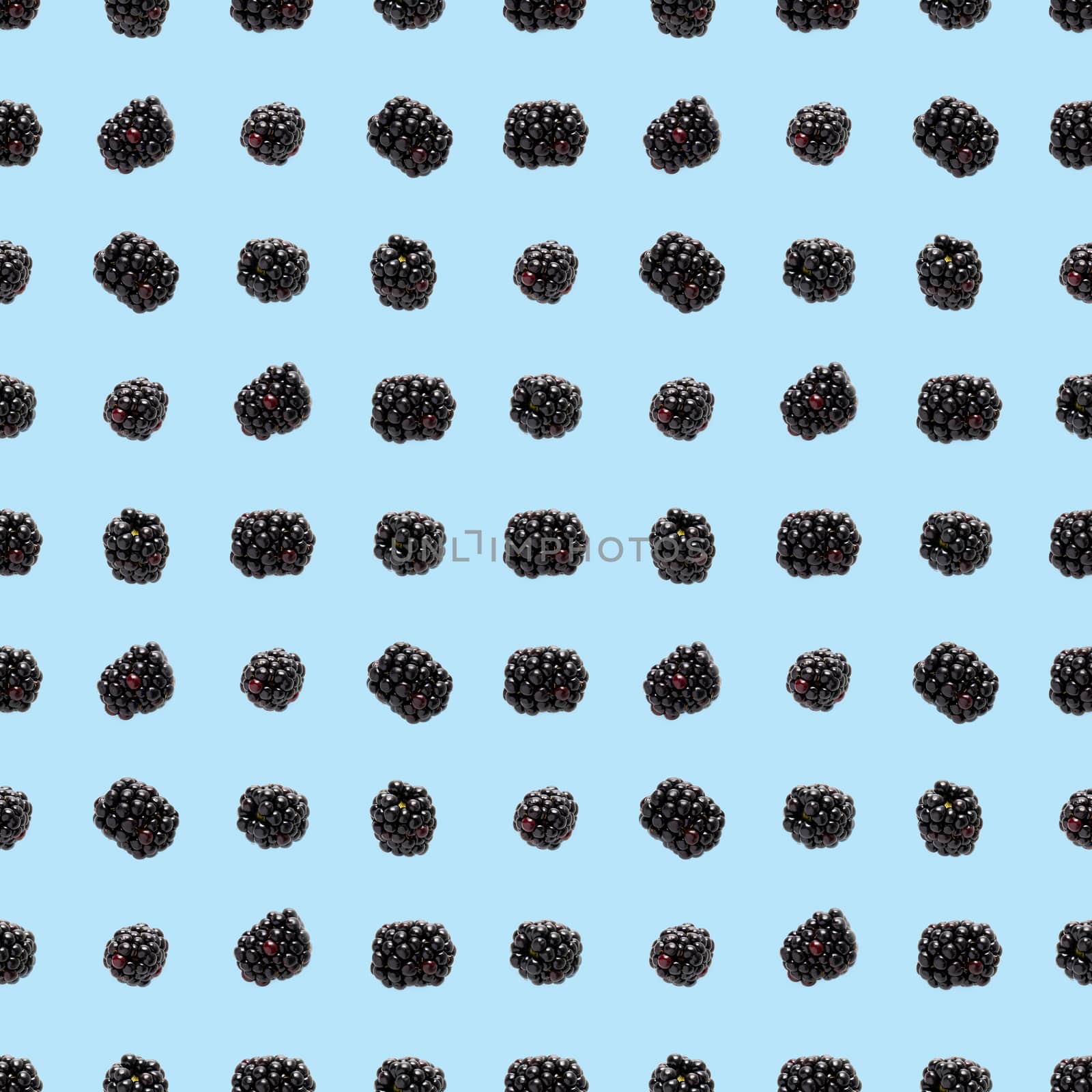 Bramble Seamless pattern. Fresh blackberry seamless pattern. Square pattern with fresh wild berries isolated on blue background. flat lay.