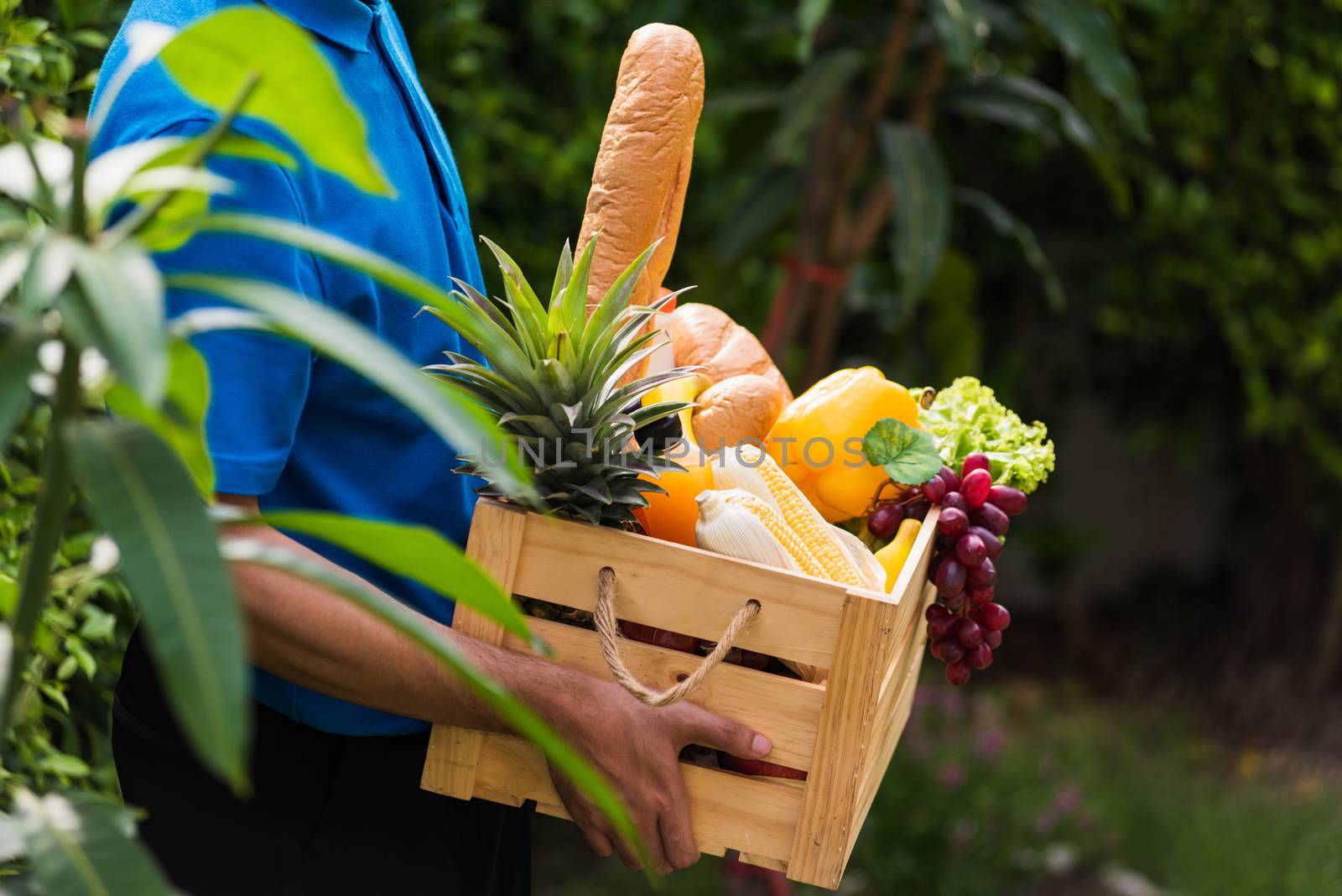 Man farmer wears delivery uniform he holding full fresh vegetabl by Sorapop