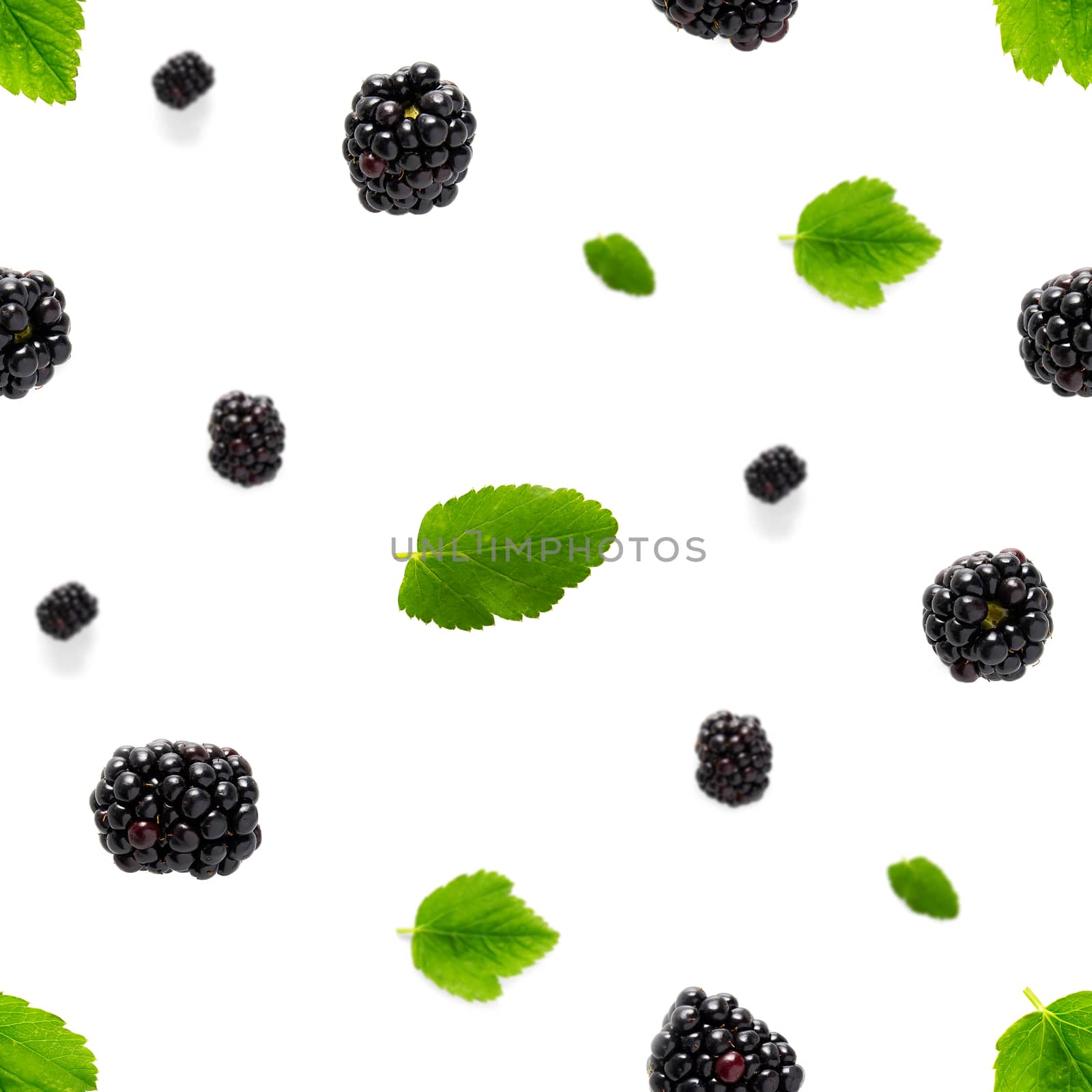 Falling Bramble Seamless pattern. Fresh Falling blackberry seamless pattern. Square pattern with fresh wild berries isolated on white background. flat lay.