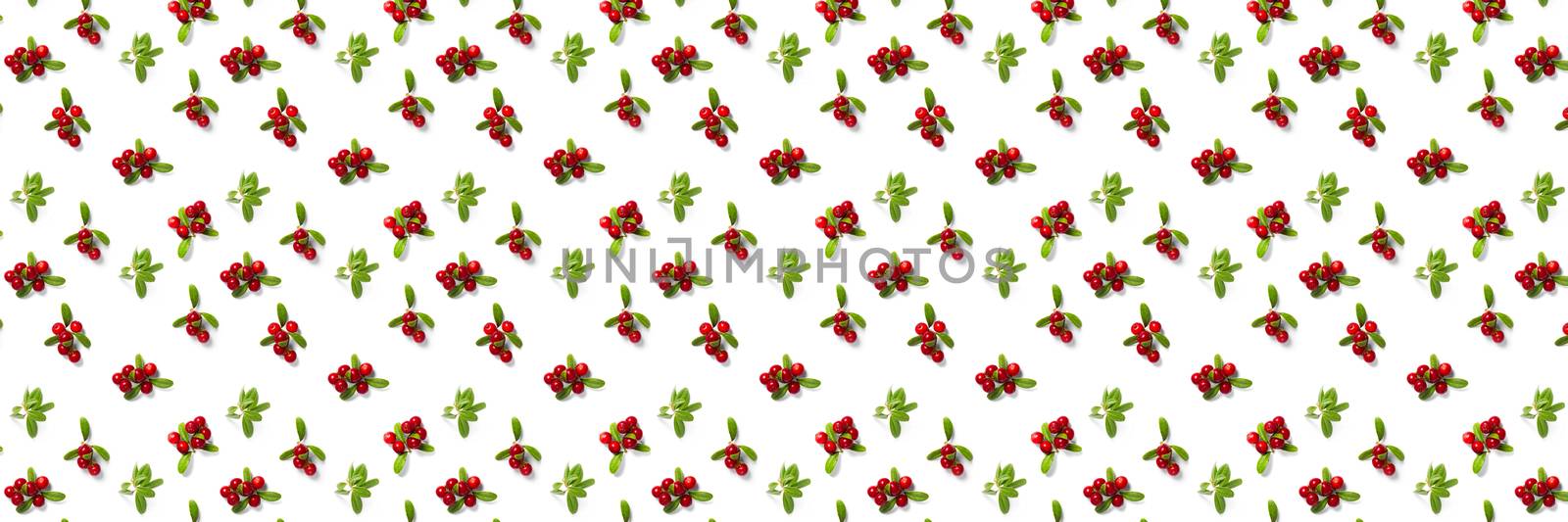 Lingonberry background on white backdrop. Fresh cowberries or cranberries with leaves as background by PhotoTime