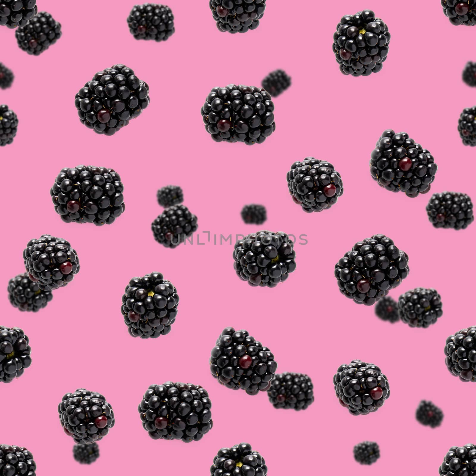 Falling Bramble Seamless pattern. Fresh Falling blackberry seamless pattern. Square pattern with fresh wild berries isolated on pink background. flat lay.