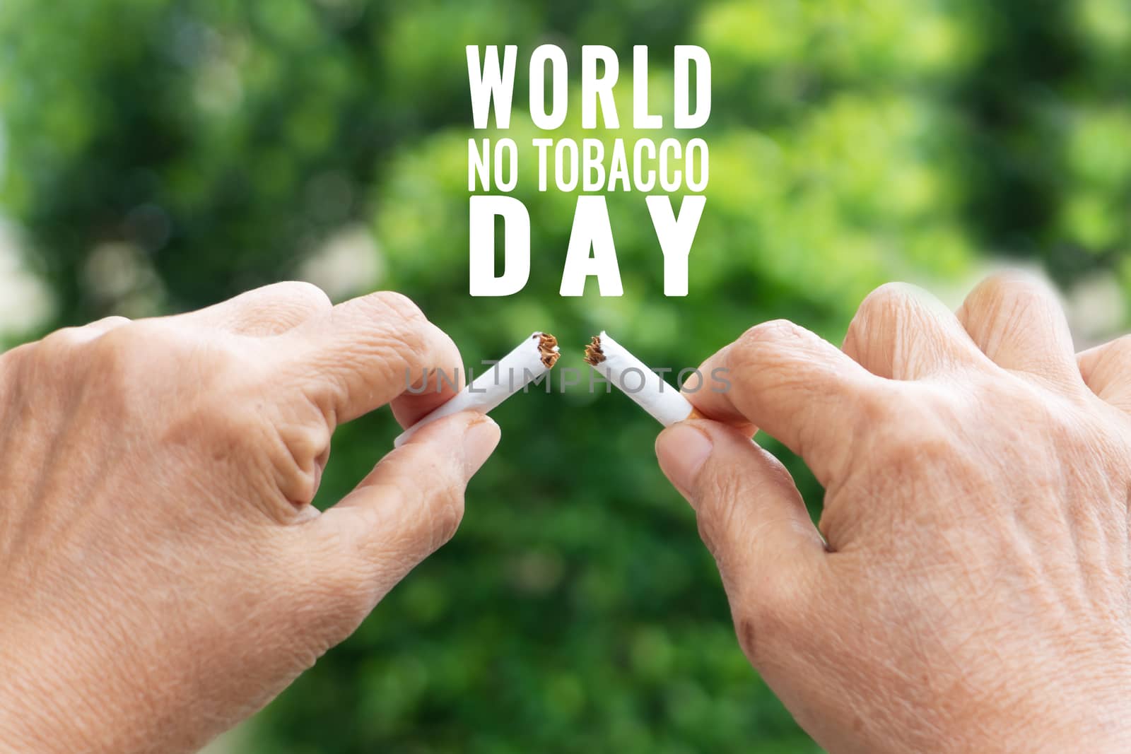 Quit smoking, no tobacco day, mother hands breaking the cigarette