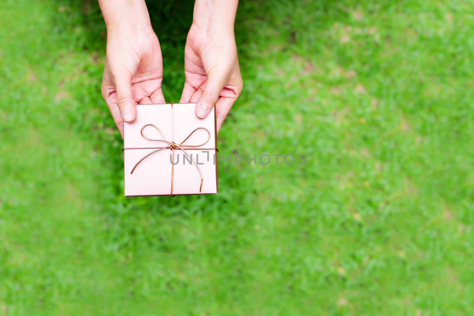 female hands holding a small gift wrapped with pink ribbon on grass background