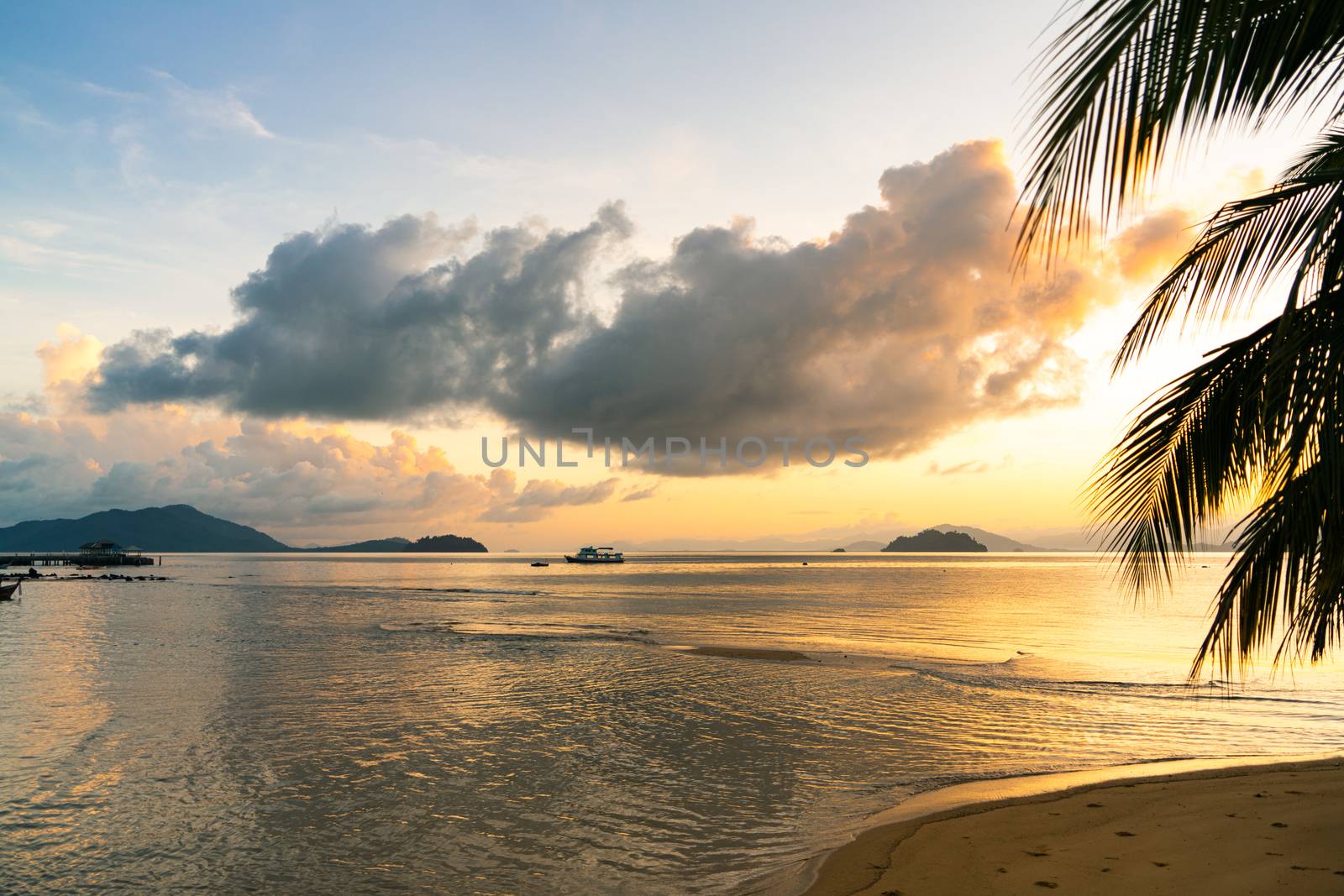 beautiful sunrise on the sea beach with palm tree for travel in holiday relax time