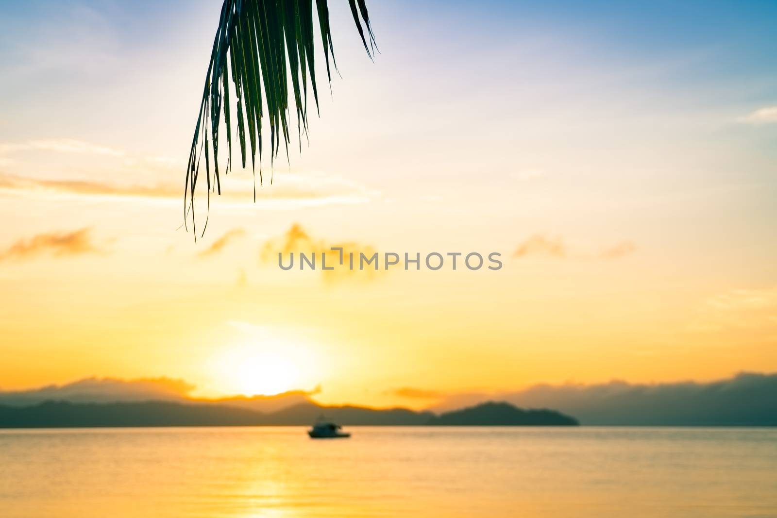 beautiful sunrise on the sea beach with palm tree for travel in  by psodaz